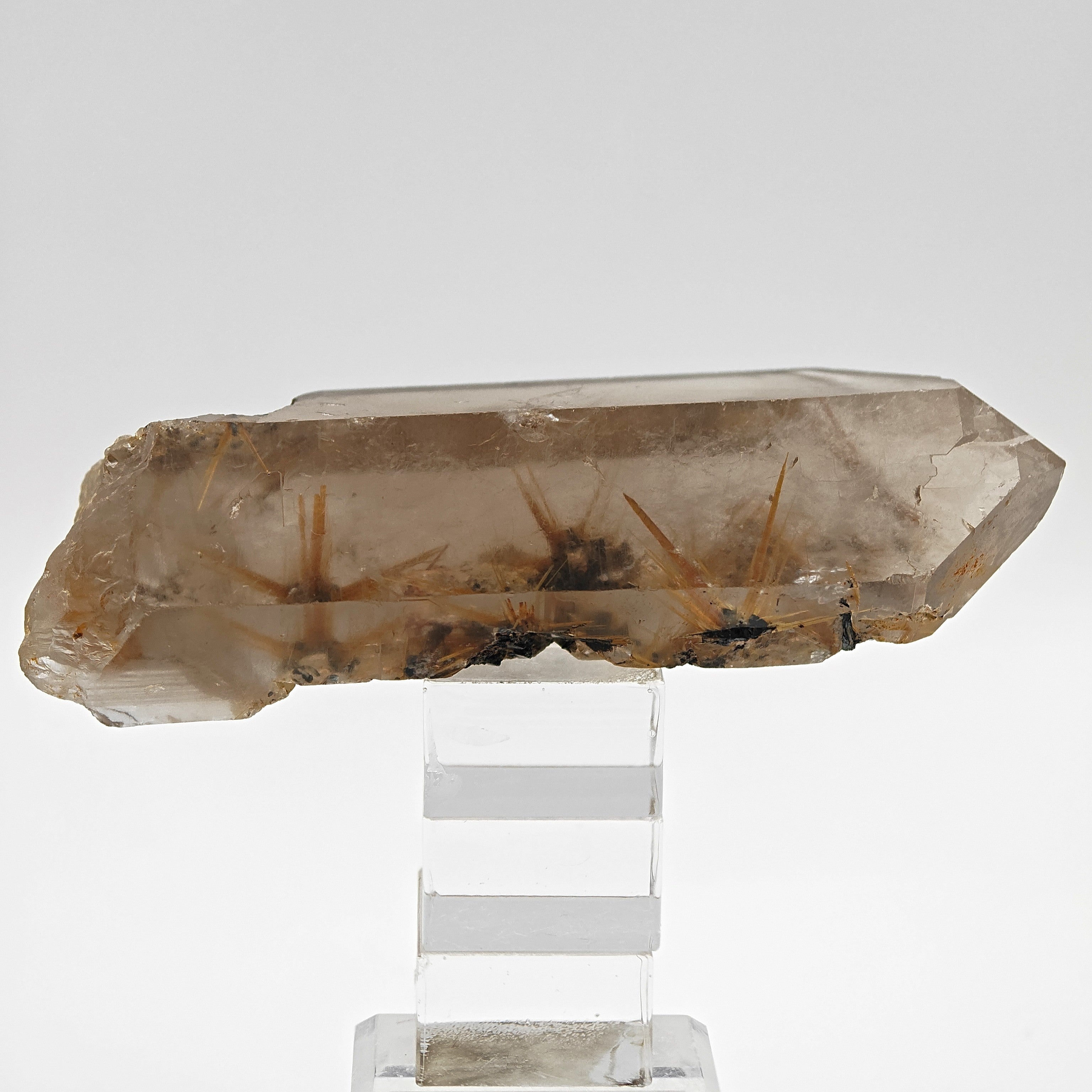 RUTILE & SMOKY QUARTZ – Large Golden Crystal Stars on Hematite, Brazil