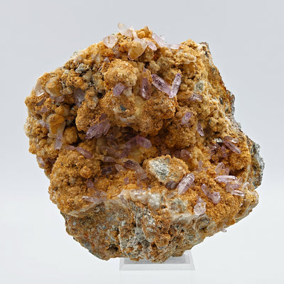 Full view of amethyst scepter cluster on ankerite matrix from Capurru Quarry, Sardinia