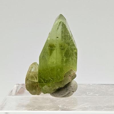 Peridot single crystal displayed upright on acrylic stand, Sapat Gali, Pakistan