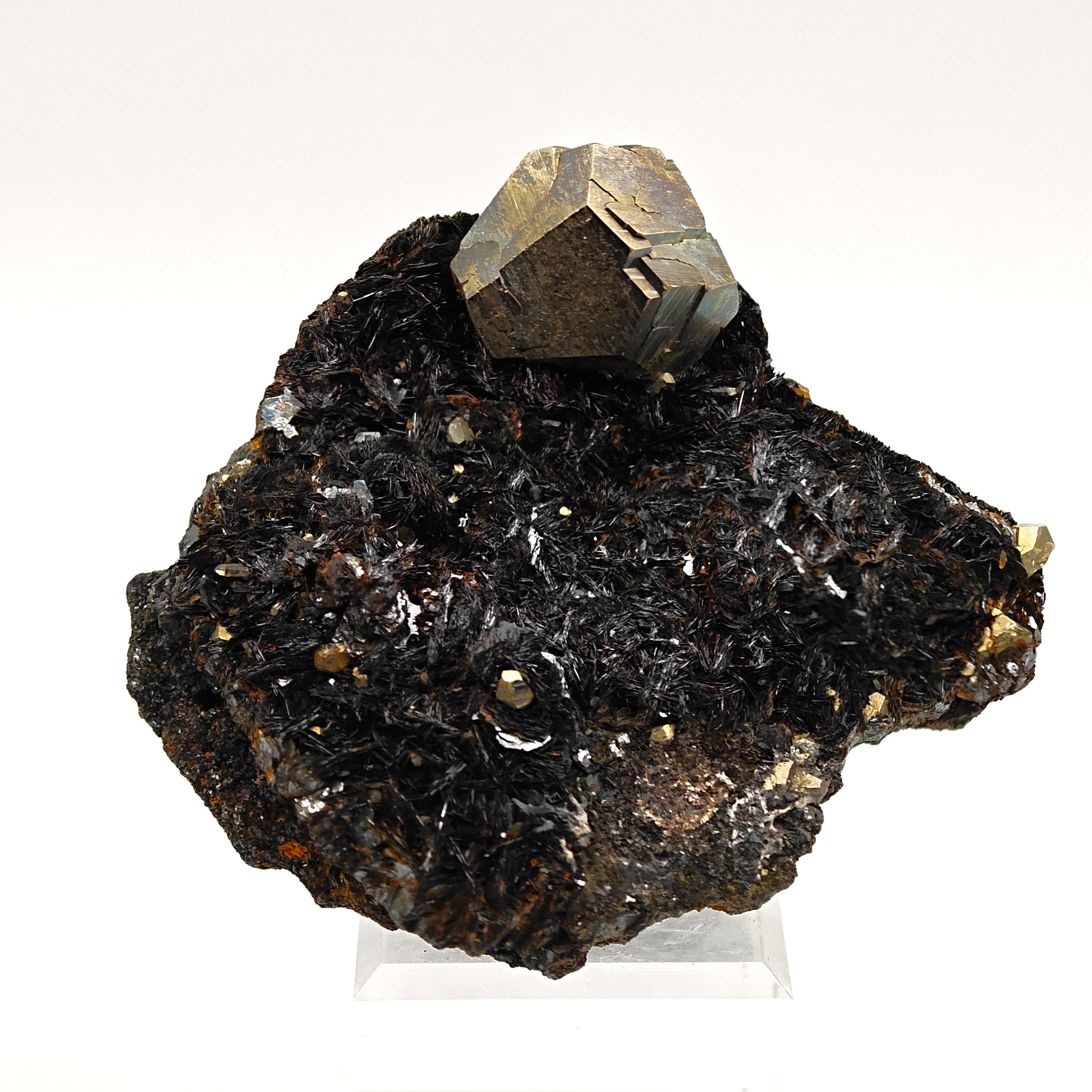 PYRITE & HEMATITE – Lustrous Crystal with Hematite, Rio Mine, Elba, Italy