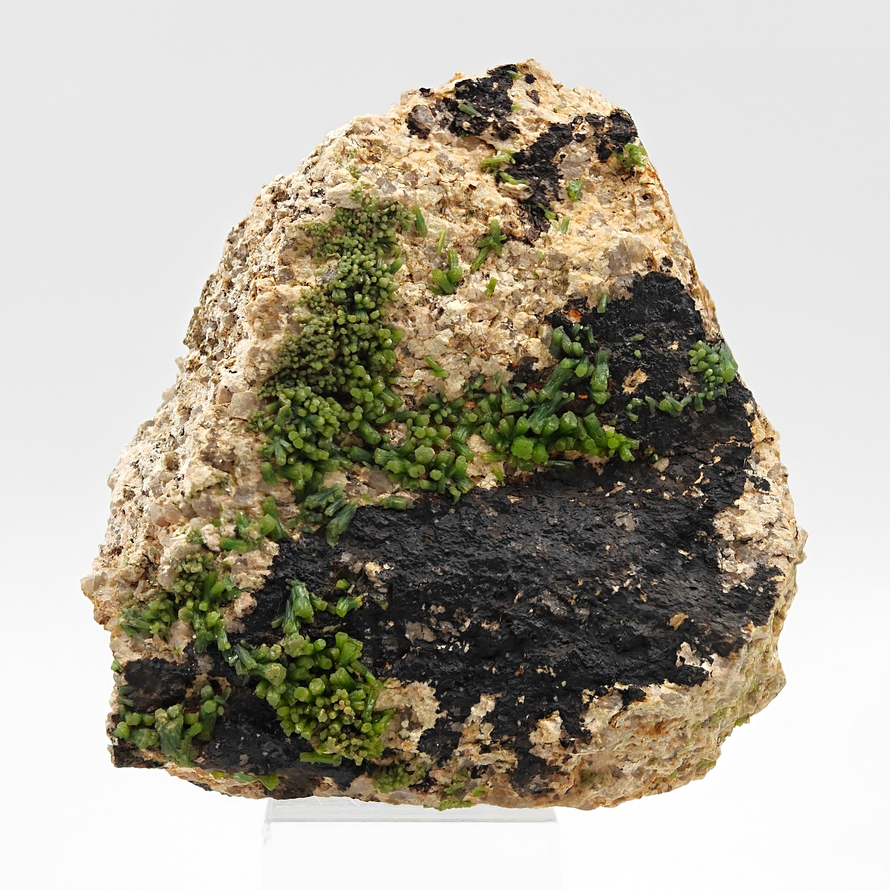 PYROMORPHITE – 100+ Green Crystals, Crabulazzu Mine, Sardinia, Italy