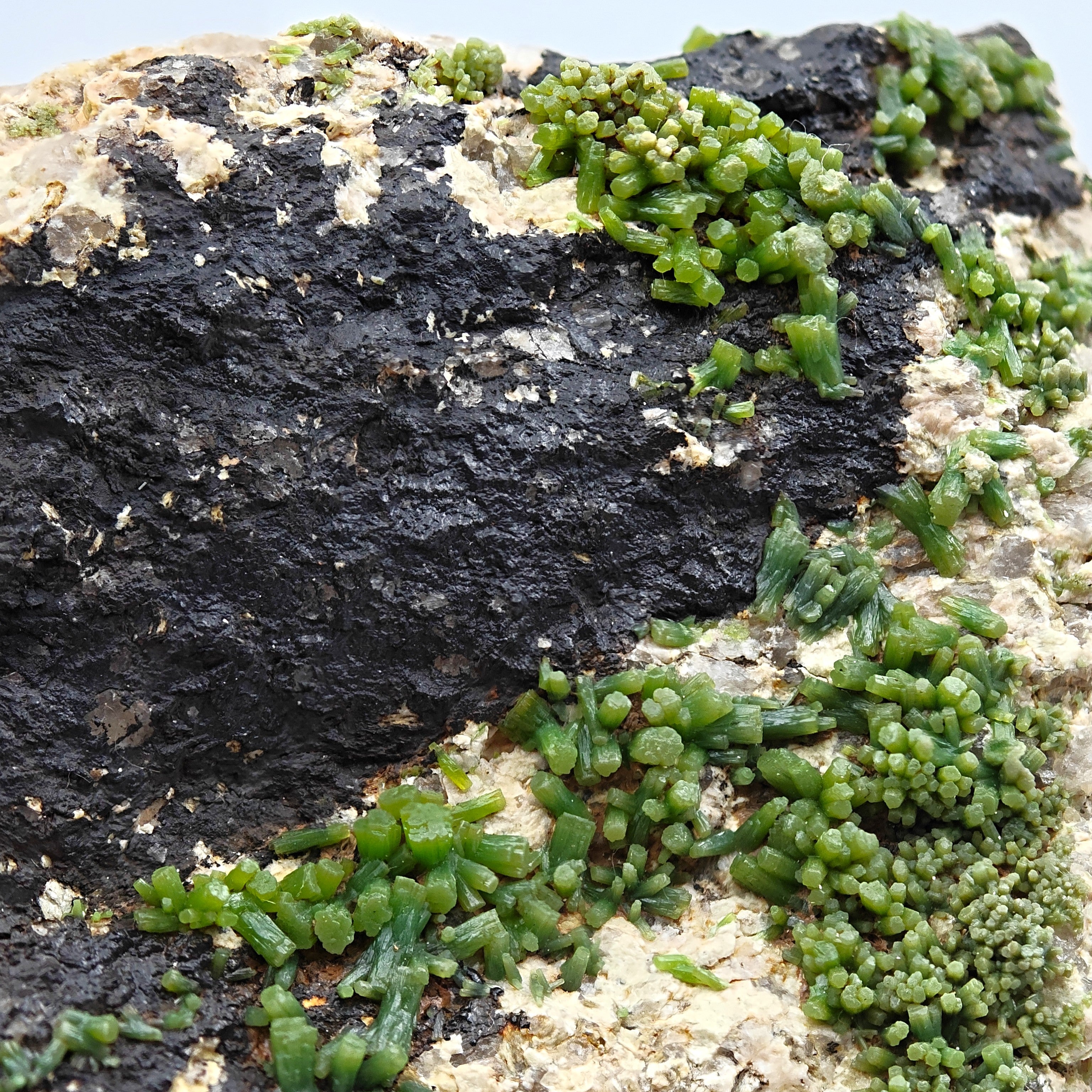 PYROMORPHITE – 100+ Green Crystals, Crabulazzu Mine, Sardinia, Italy