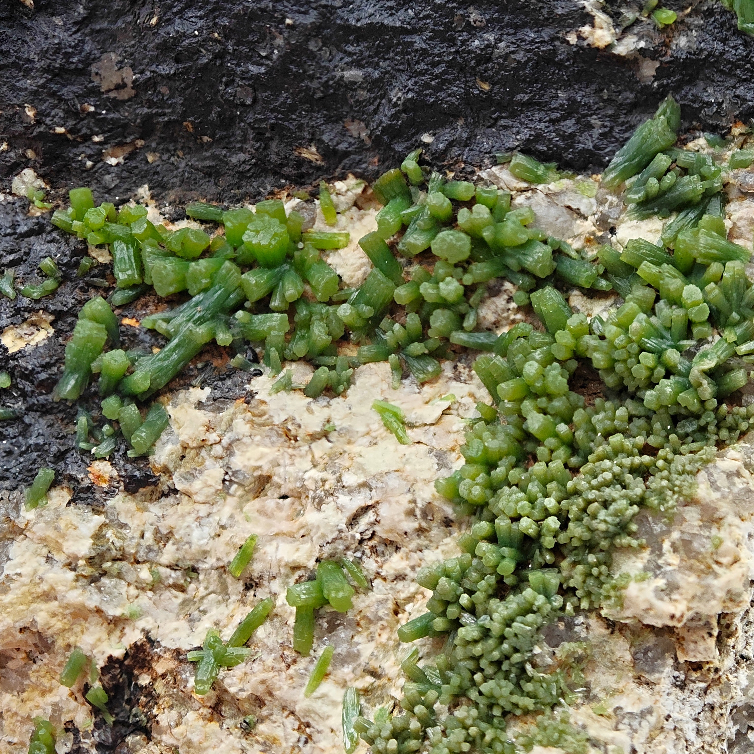 PYROMORPHITE – 100+ Green Crystals, Crabulazzu Mine, Sardinia, Italy
