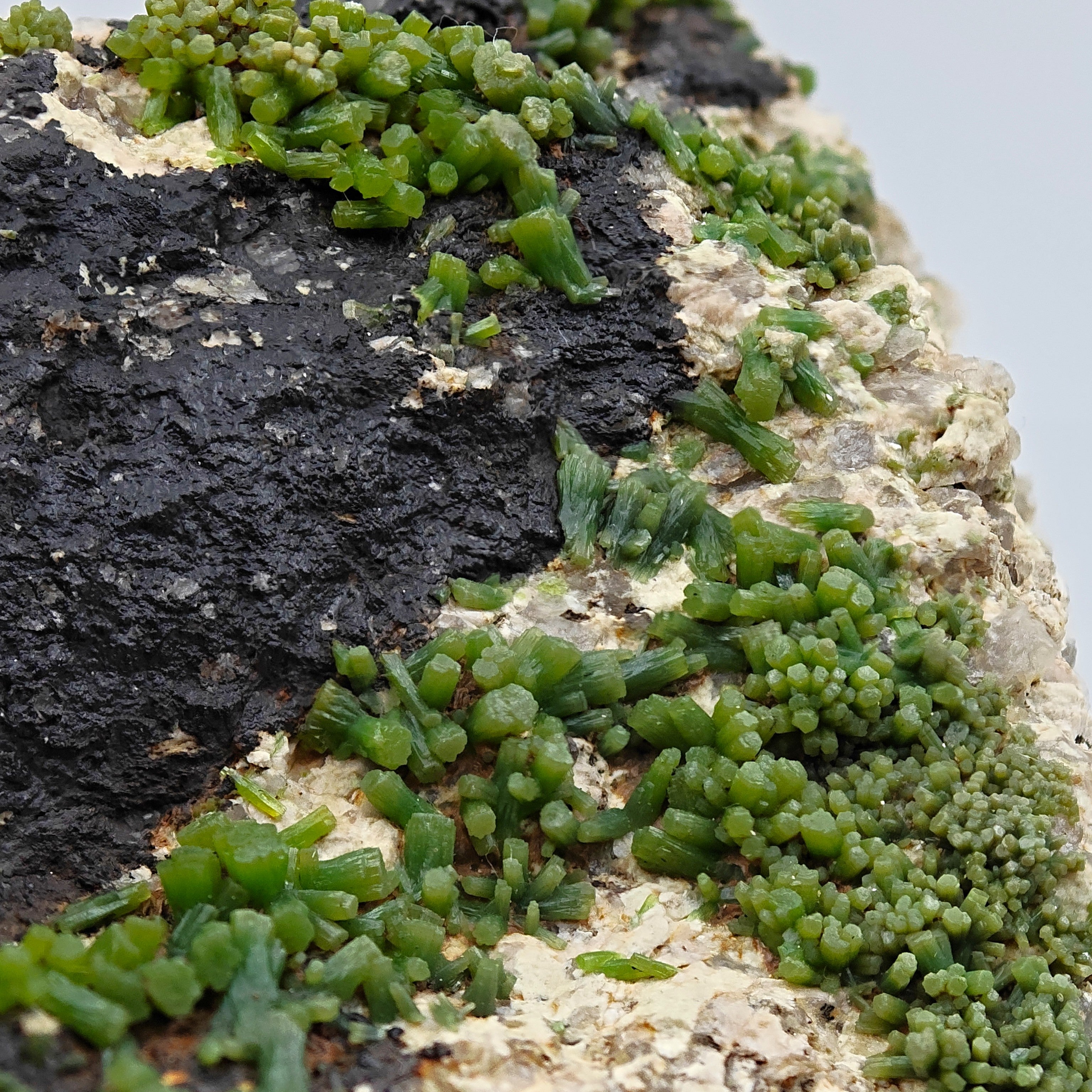 PYROMORPHITE – 100+ Green Crystals, Crabulazzu Mine, Sardinia, Italy