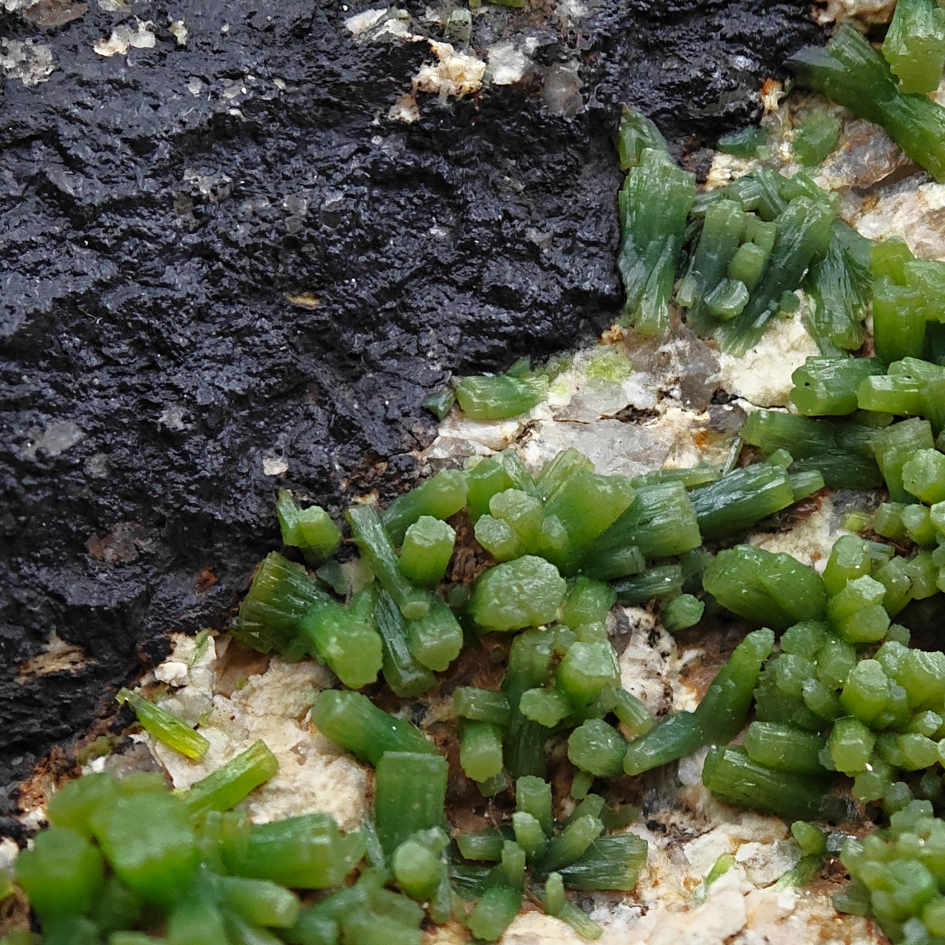 PYROMORPHITE – 100+ Green Crystals, Crabulazzu Mine, Sardinia, Italy