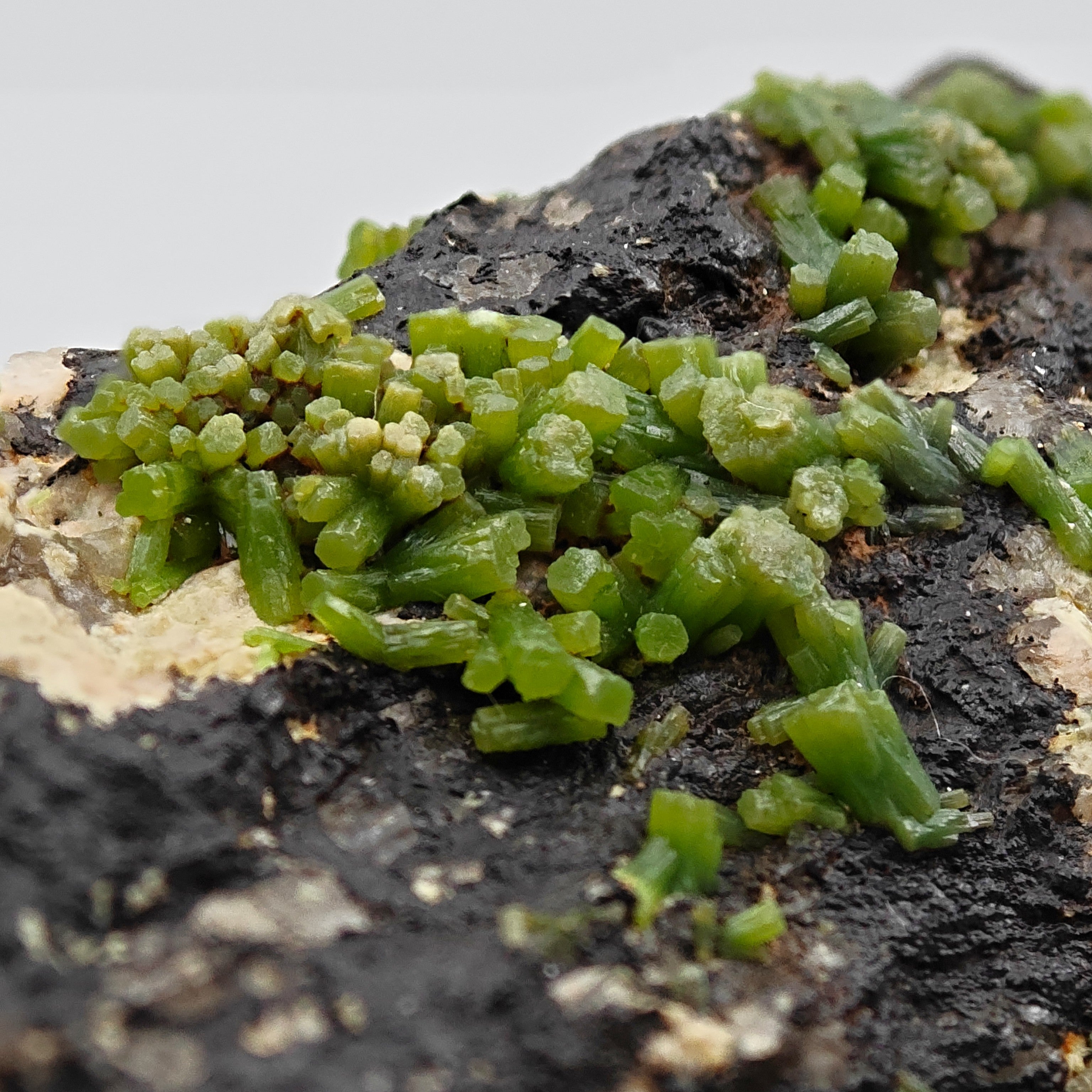 PYROMORPHITE – 100+ Green Crystals, Crabulazzu Mine, Sardinia, Italy