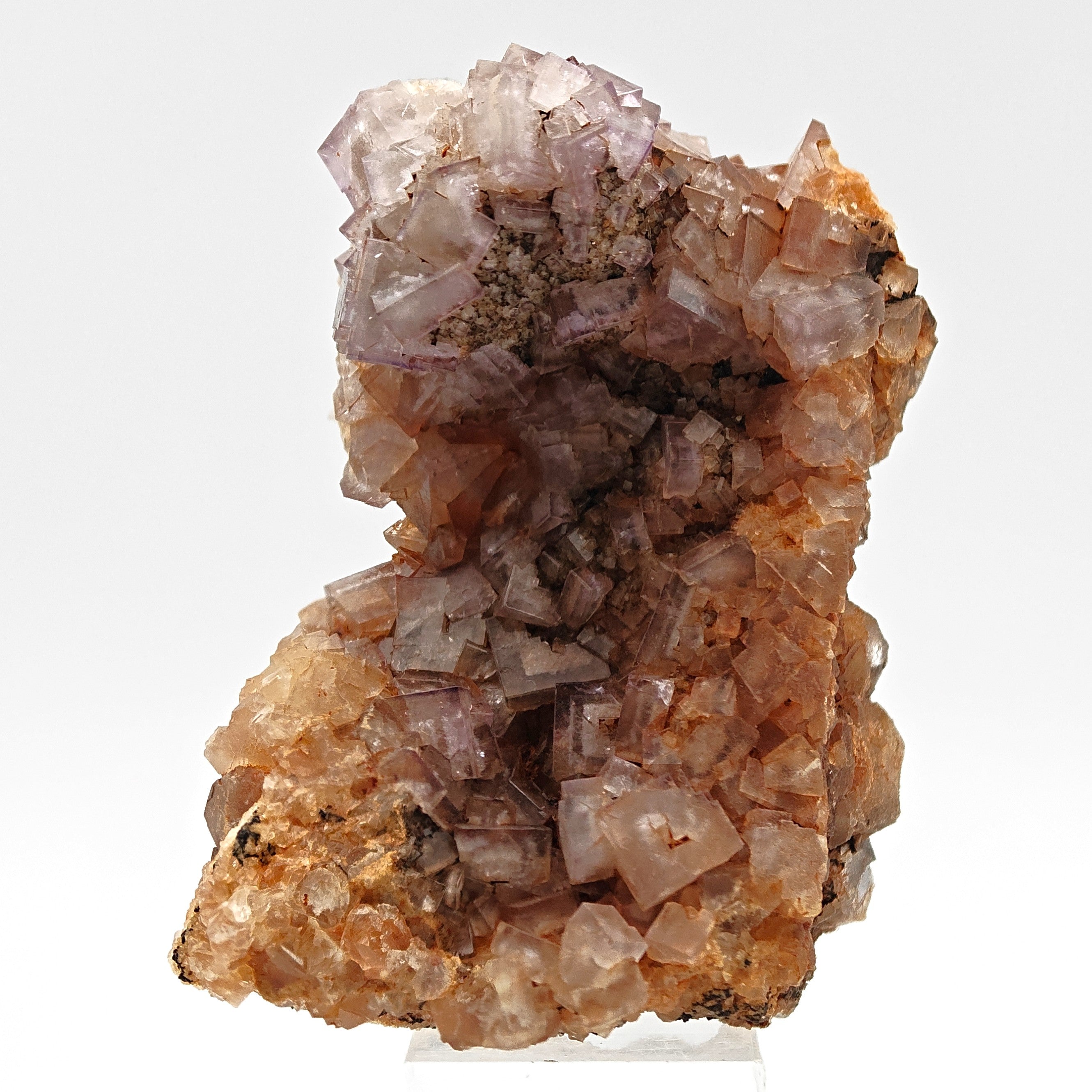 FLUORITE – Vivid Purple Cubes with White Phantoms, Sardinia, Italy