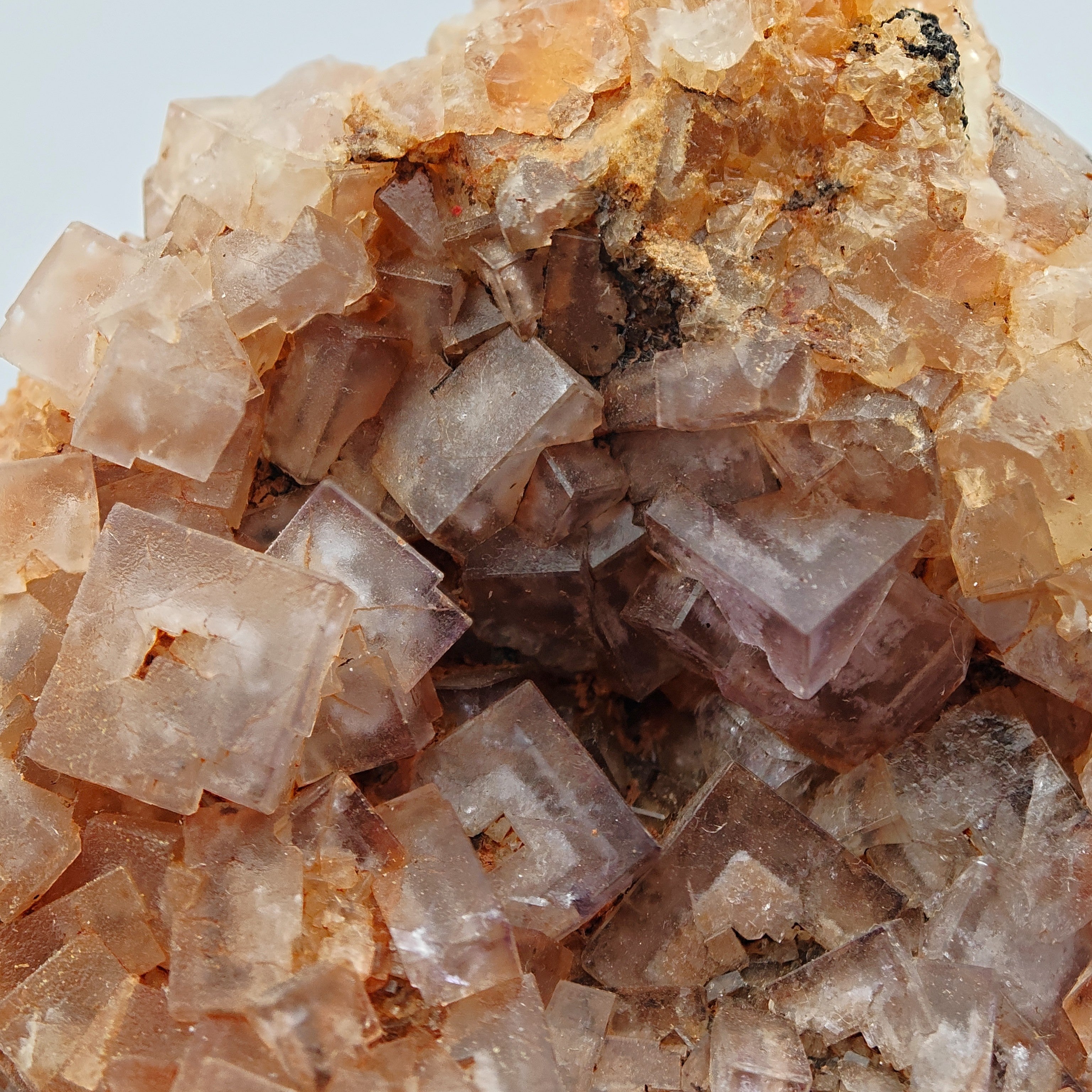 FLUORITE – Vivid Purple Cubes with White Phantoms, Sardinia, Italy