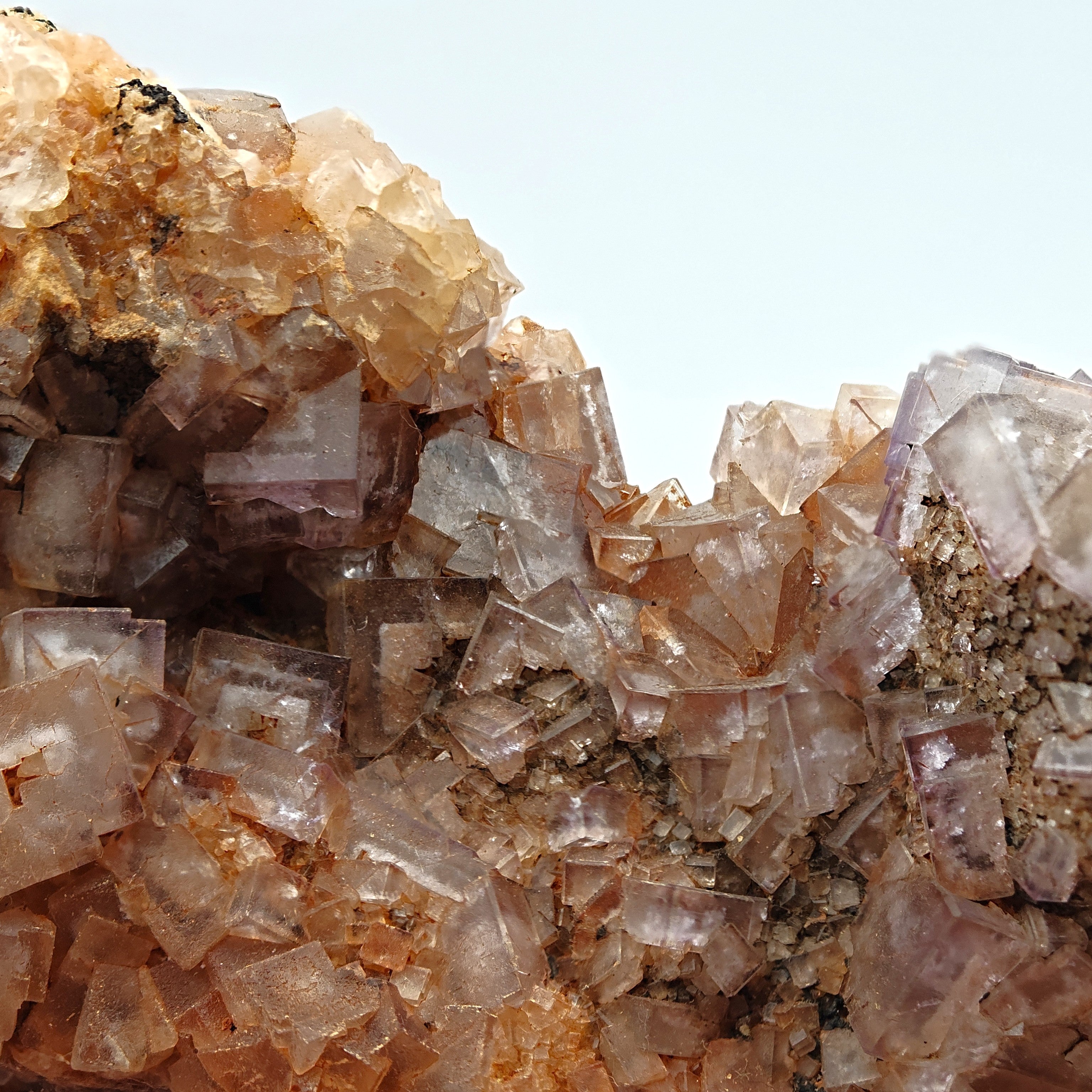 FLUORITE – Vivid Purple Cubes with White Phantoms, Sardinia, Italy