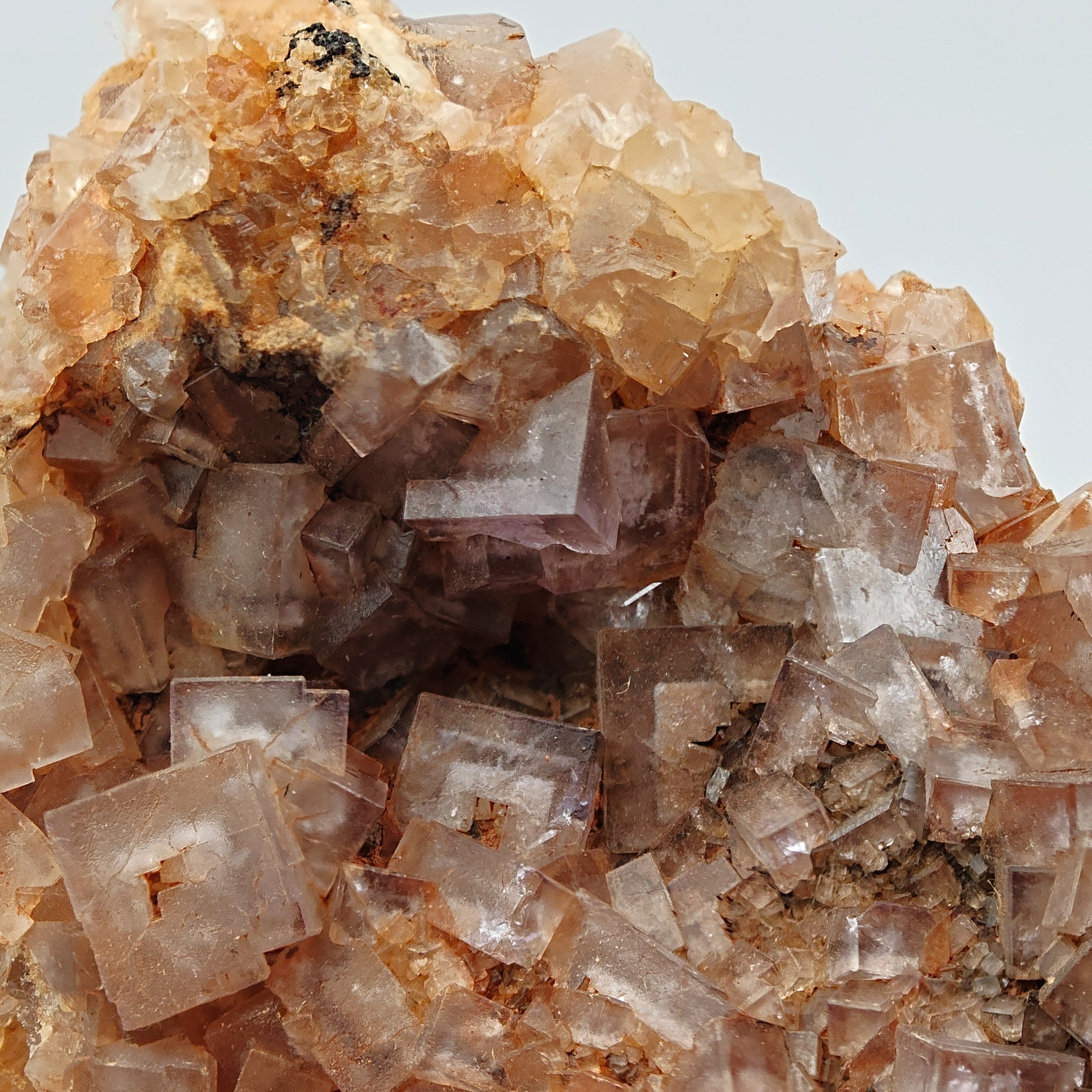 FLUORITE – Vivid Purple Cubes with White Phantoms, Sardinia, Italy