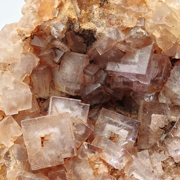 FLUORITE – Vivid Purple Cubes with White Phantoms, Sardinia, Italy