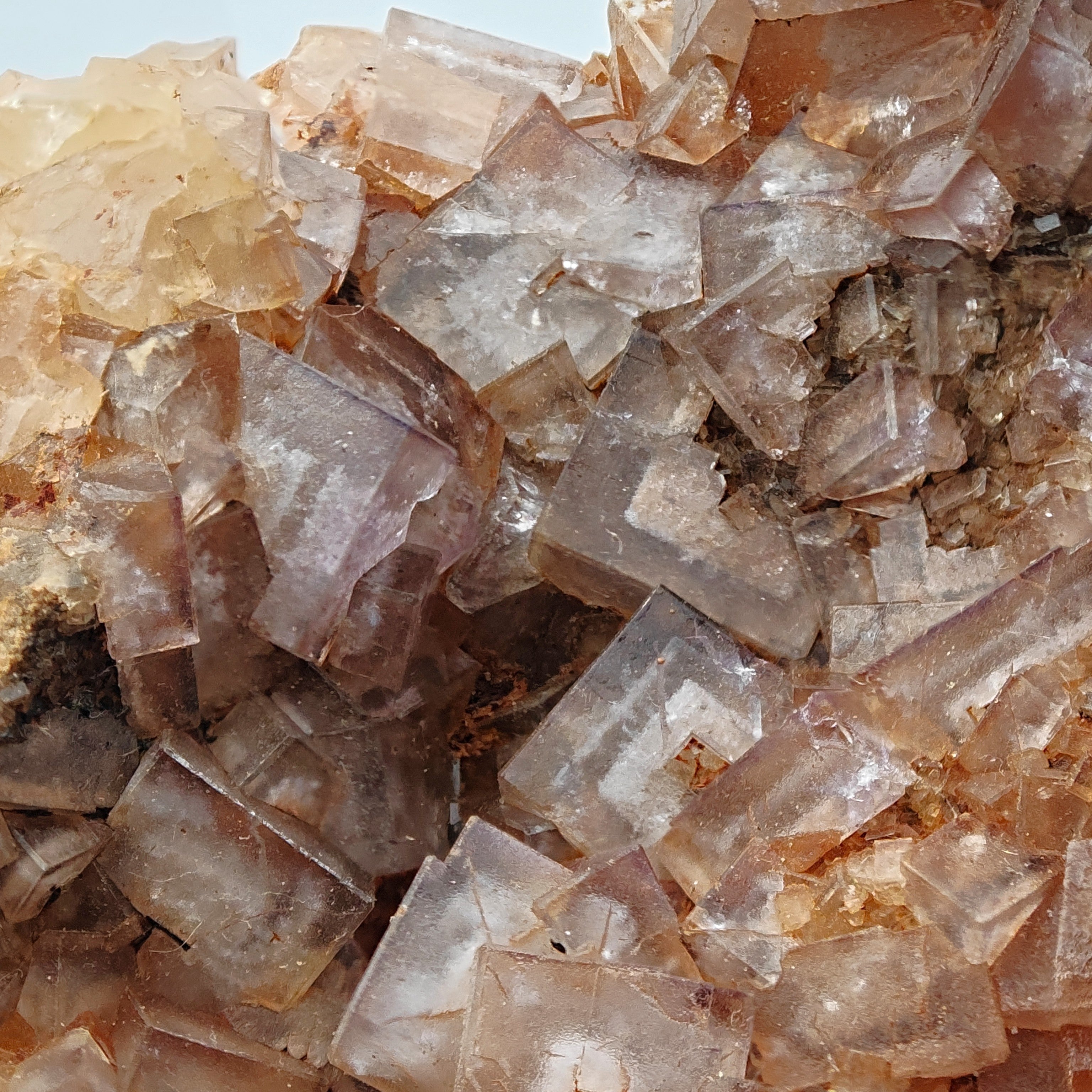 FLUORITE – Vivid Purple Cubes with White Phantoms, Sardinia, Italy