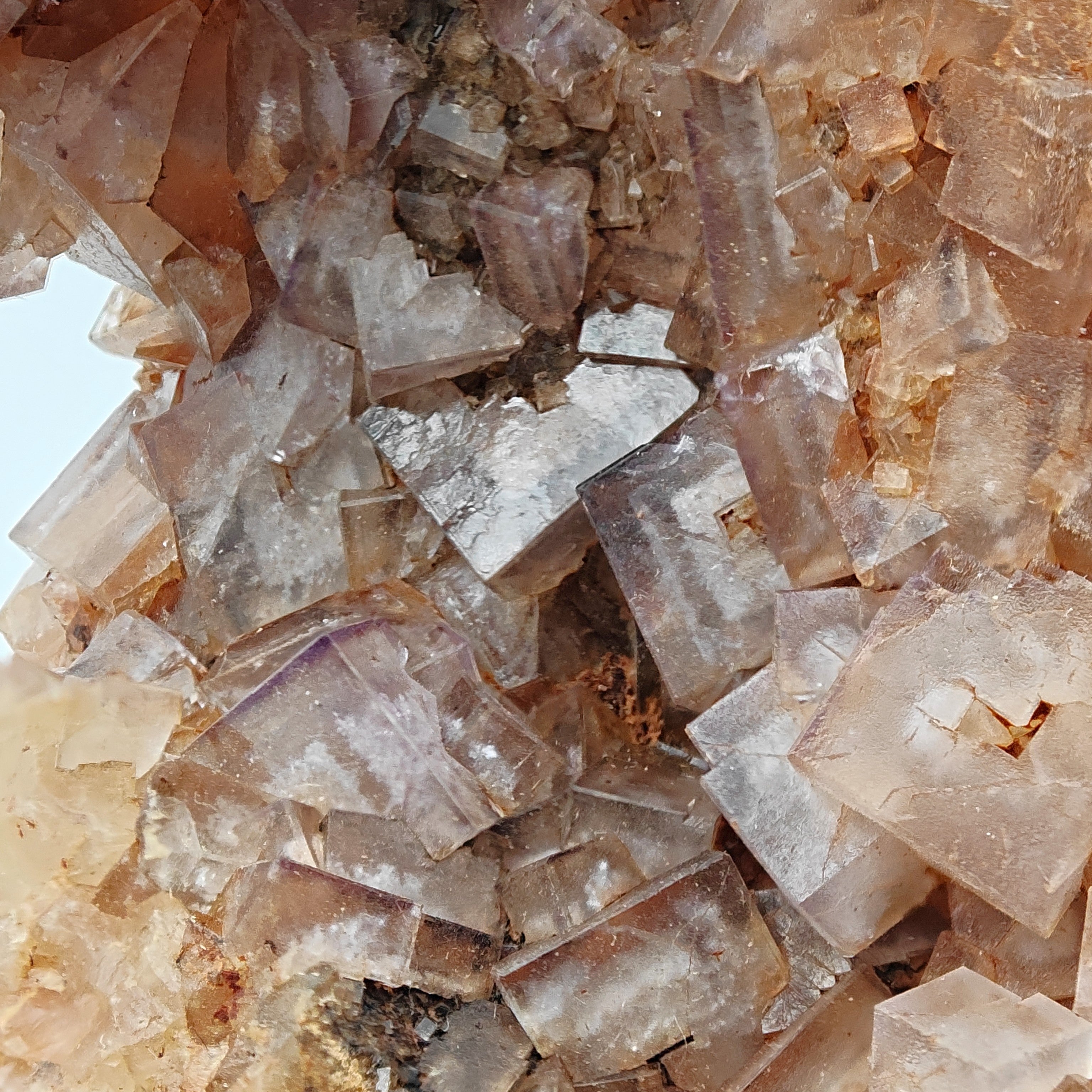 FLUORITE – Vivid Purple Cubes with White Phantoms, Sardinia, Italy
