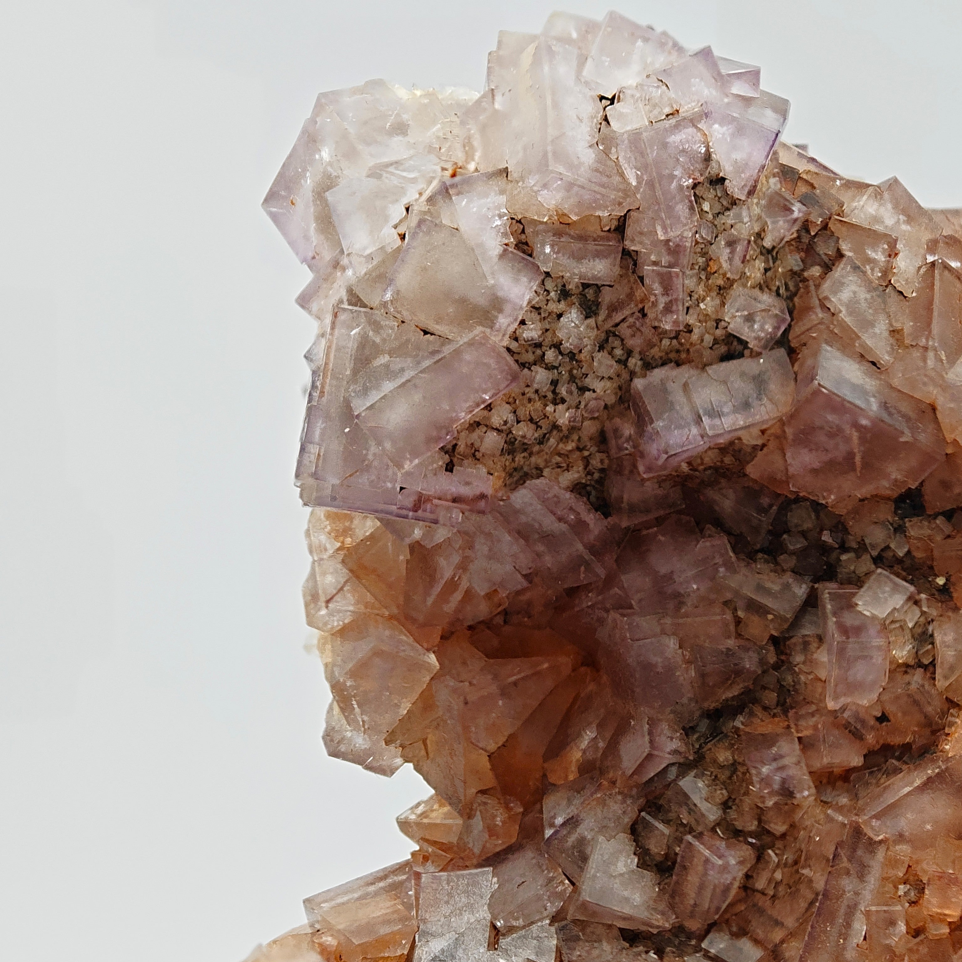 FLUORITE – Vivid Purple Cubes with White Phantoms, Sardinia, Italy