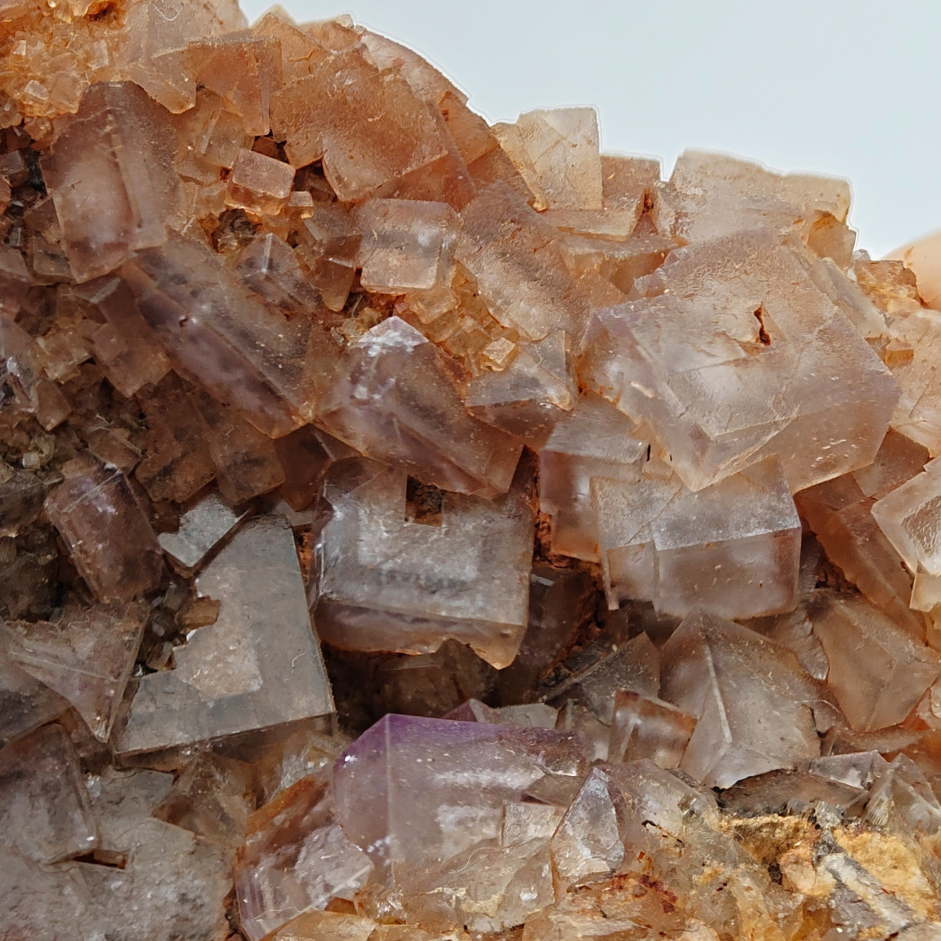 FLUORITE – Vivid Purple Cubes with White Phantoms, Sardinia, Italy