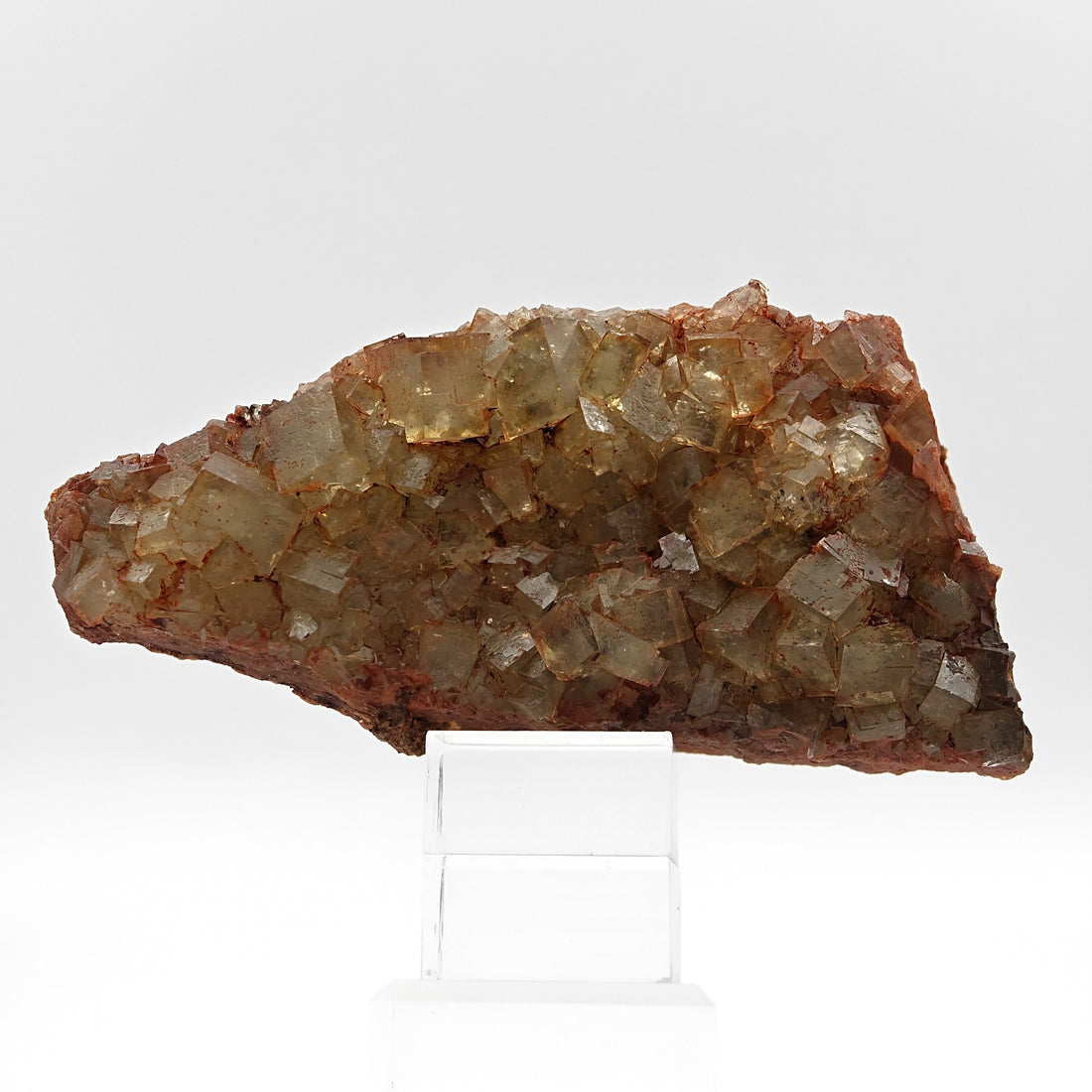 FLUORITE Cluster – Yellow-Green Cubic Crystals with Red Inclusions, Morocco
