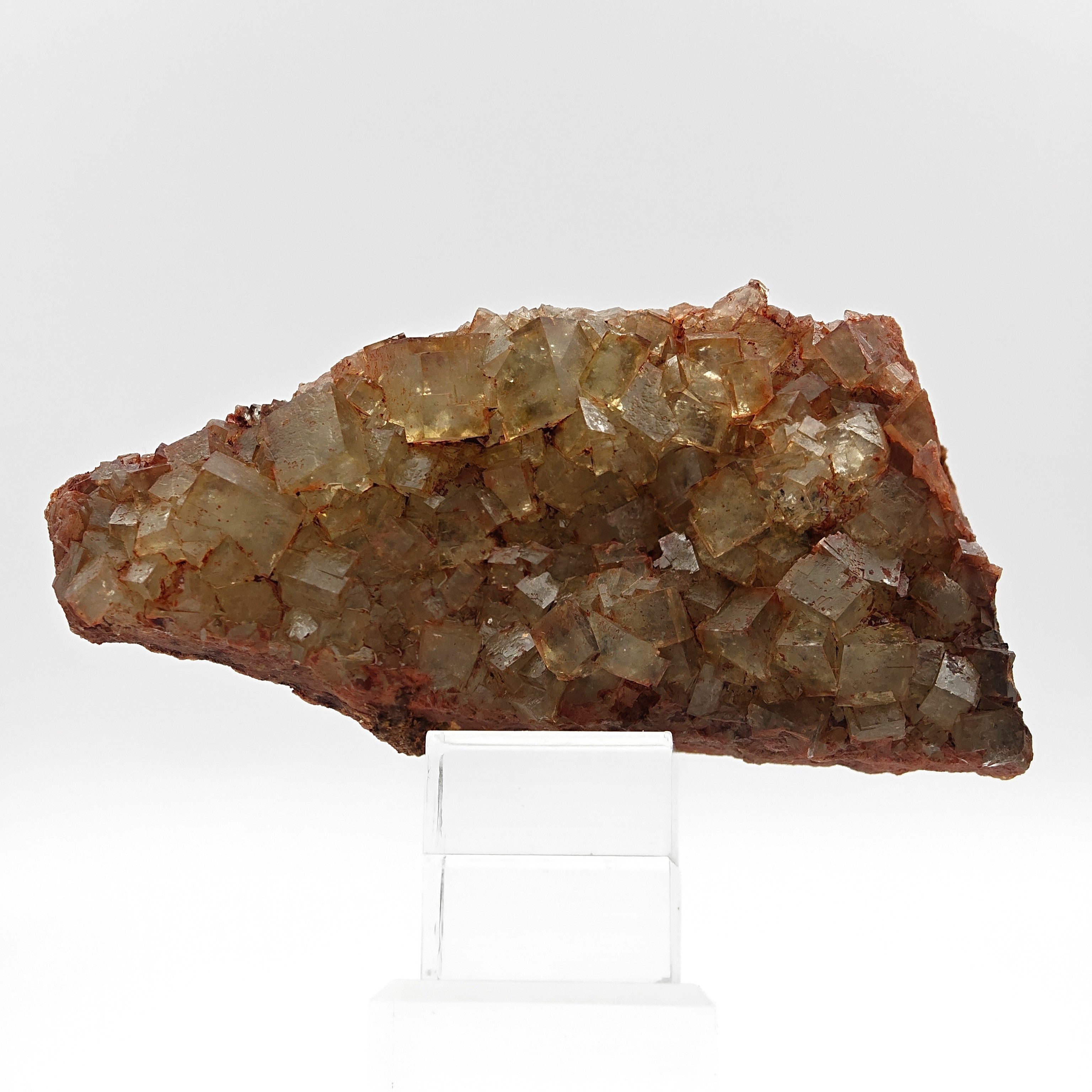 FLUORITE Cluster – Yellow-Green Cubic Crystals with Red Inclusions, Morocco