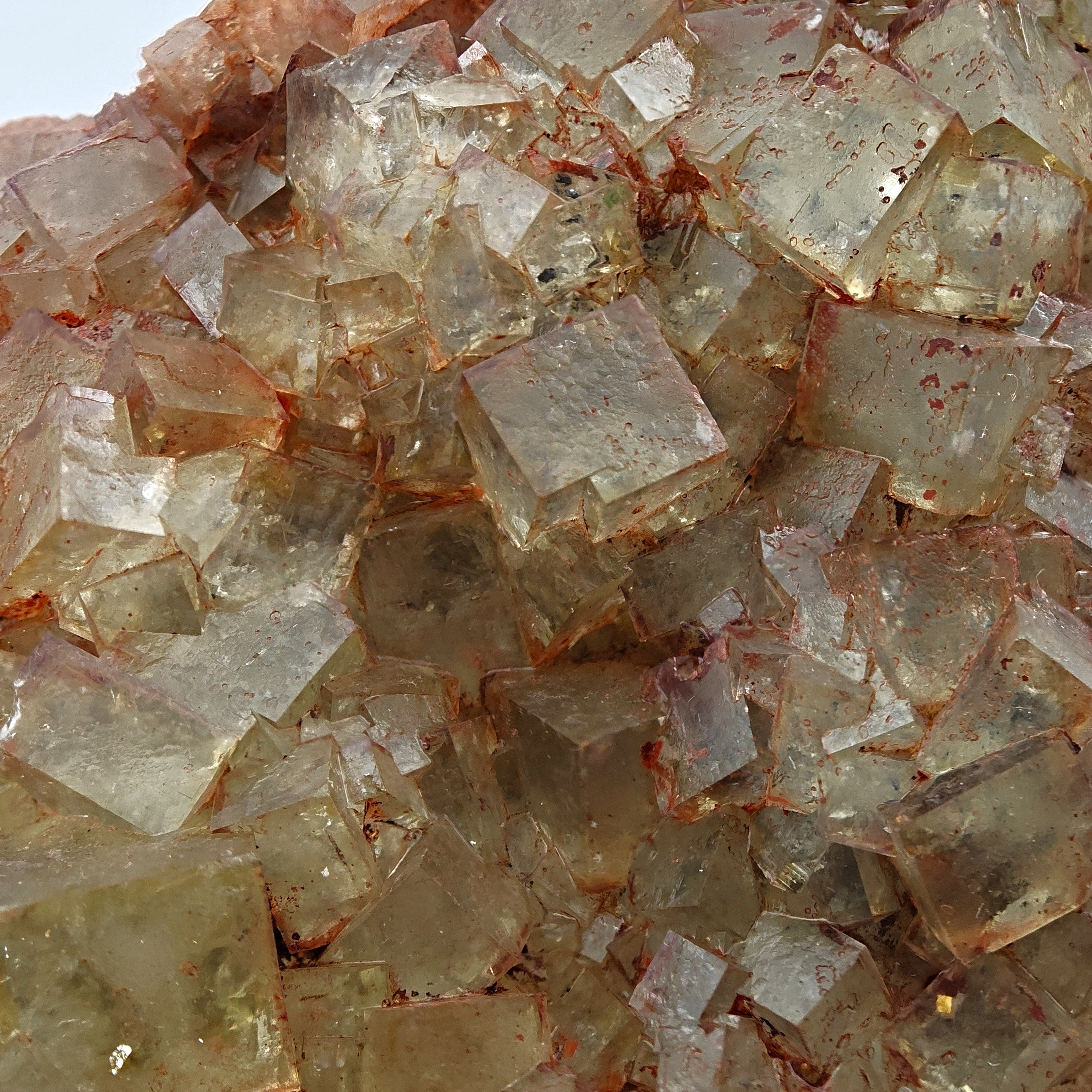 FLUORITE Cluster – Yellow-Green Cubic Crystals with Red Inclusions, Morocco