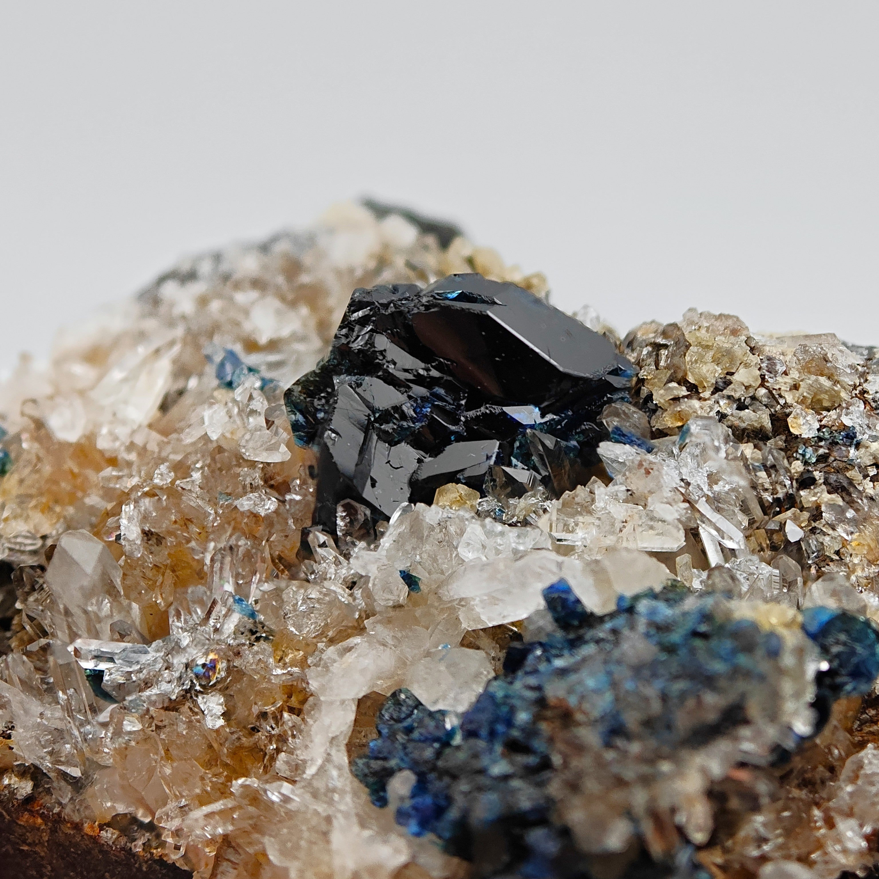 LAZULITE – Deep Blue Crystals on Quartz Matrix, Rapid Creek, Yukon, Canada