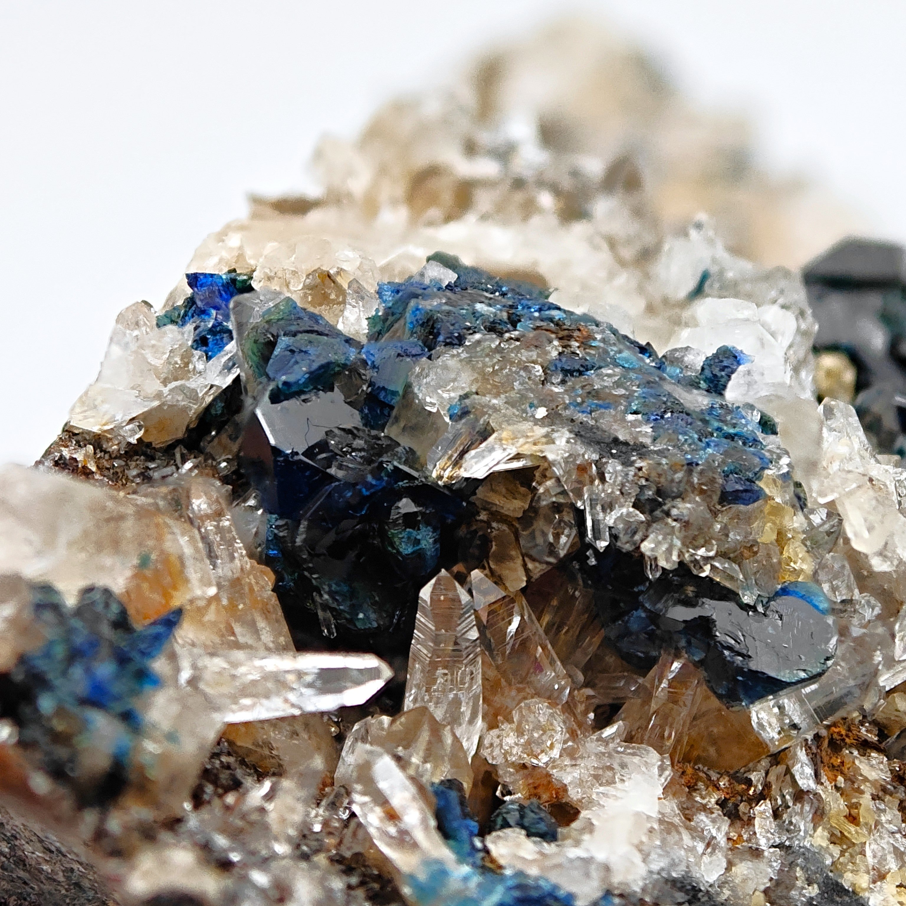 LAZULITE – Deep Blue Crystals on Quartz Matrix, Rapid Creek, Yukon, Canada