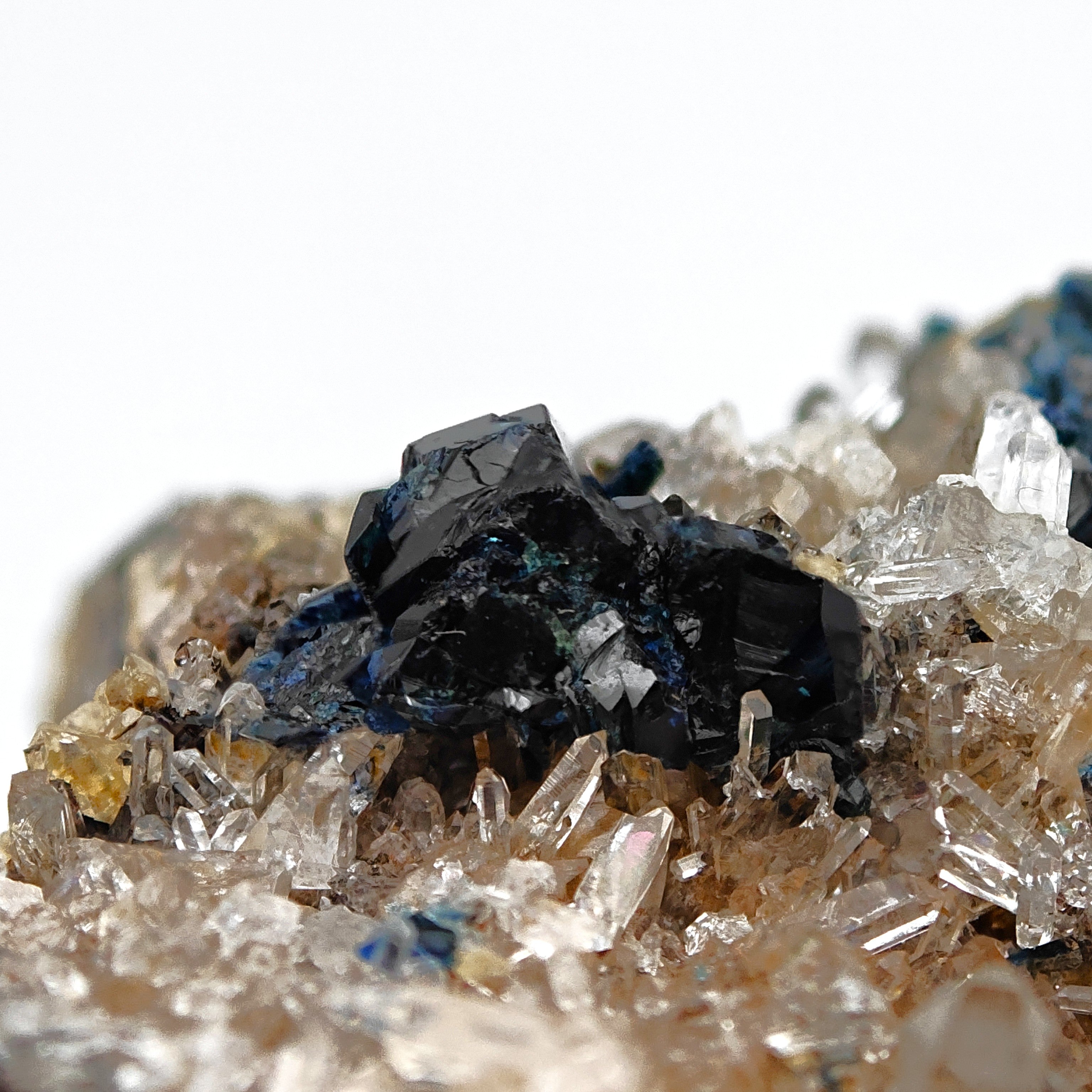 LAZULITE – Deep Blue Crystals on Quartz Matrix, Rapid Creek, Yukon, Canada