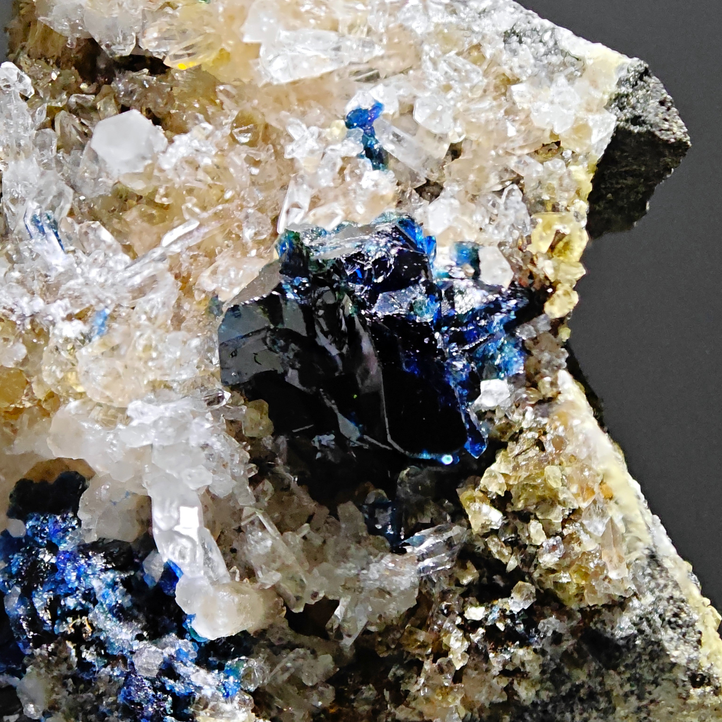 LAZULITE – Deep Blue Crystals on Quartz Matrix, Rapid Creek, Yukon, Canada