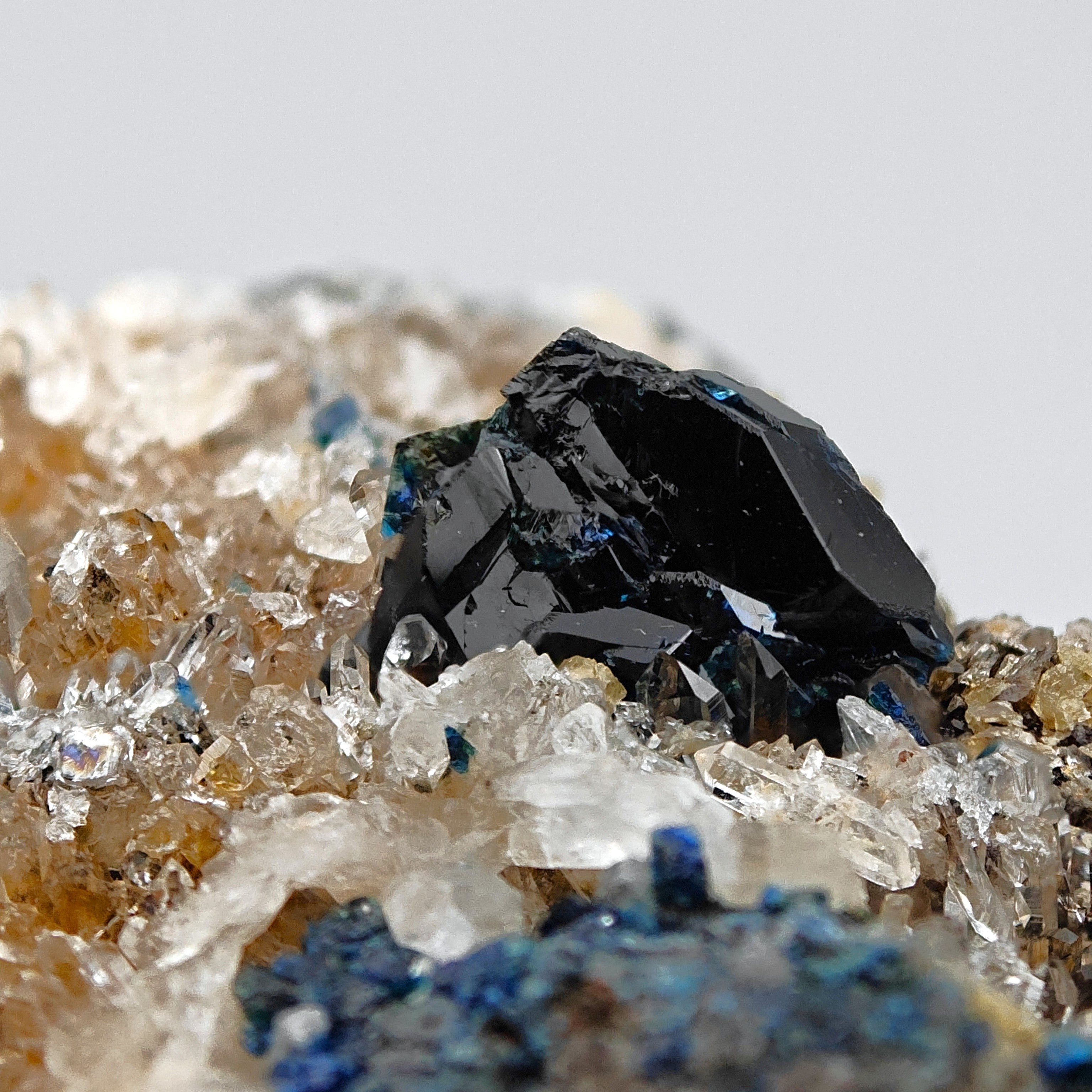 LAZULITE – Deep Blue Crystals on Quartz Matrix, Rapid Creek, Yukon, Canada