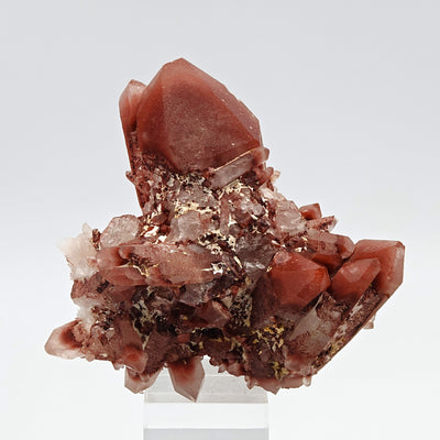 Side view of hematoid quartz cluster showing hematite-stained red and white crystal faces, Orange River, South Africa