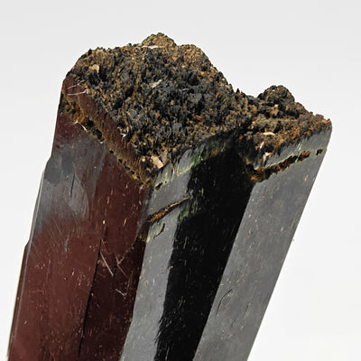 Top termination of aegirine crystal with reddish matrix remnants, Mount Malosa, Malawi