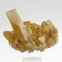 BARYTE – Honey-Colored Transparent Crystals with Phantoms from Rio Bacchera, Sardinia, Italy