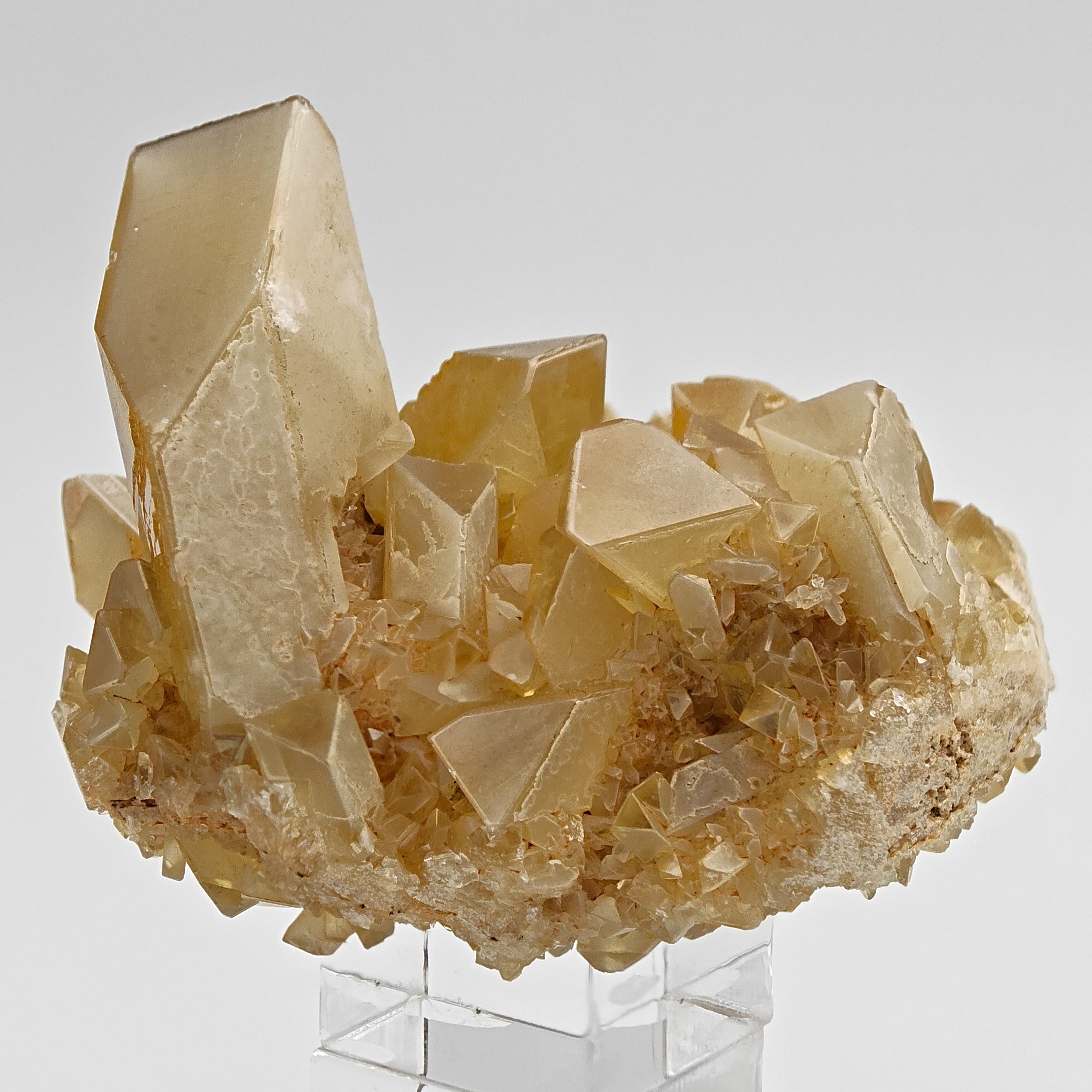 BARYTE – Honey-Colored Transparent Crystals with Phantoms from Rio Bacchera, Sardinia, Italy