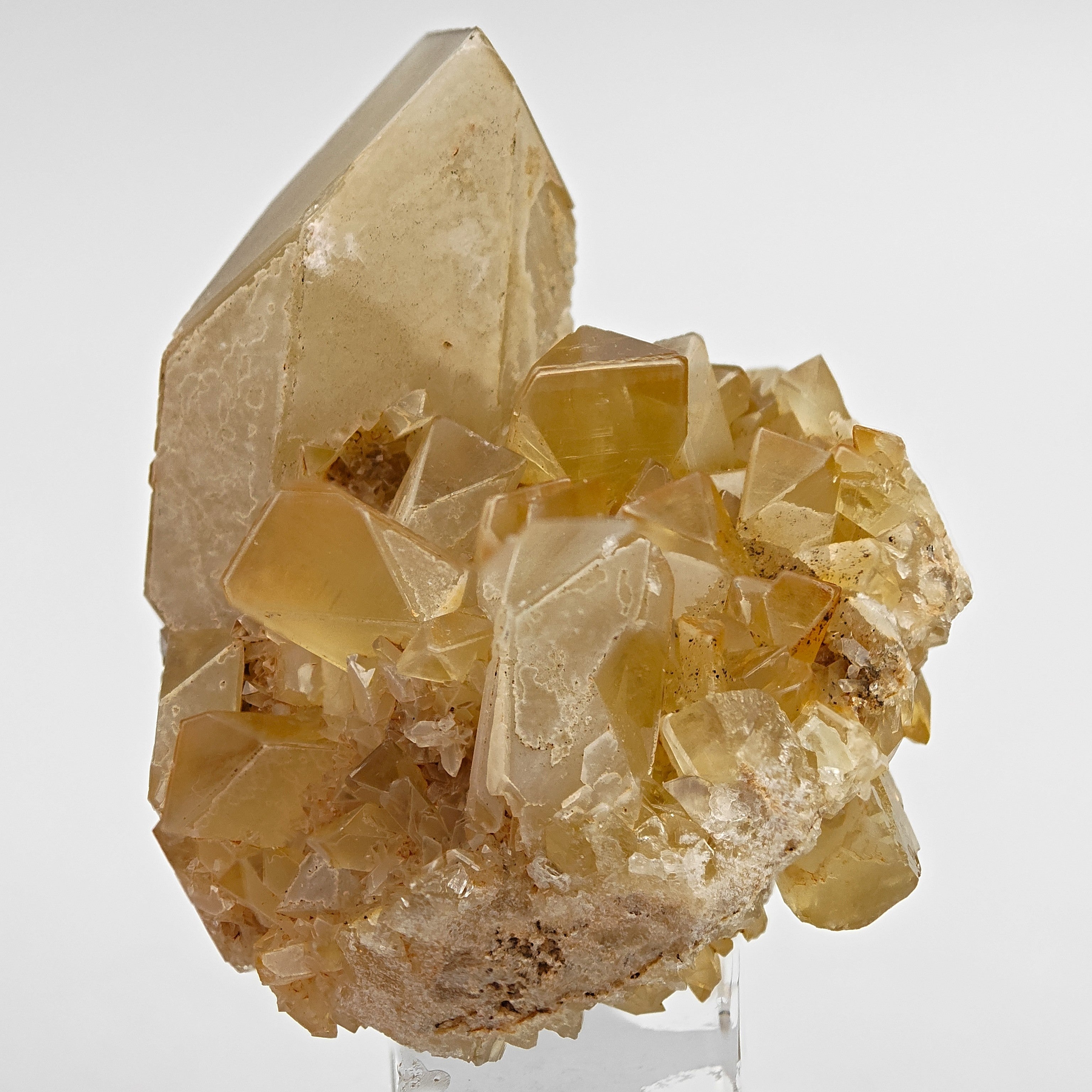 BARYTE – Honey-Colored Transparent Crystals with Phantoms from Rio Bacchera, Sardinia, Italy
