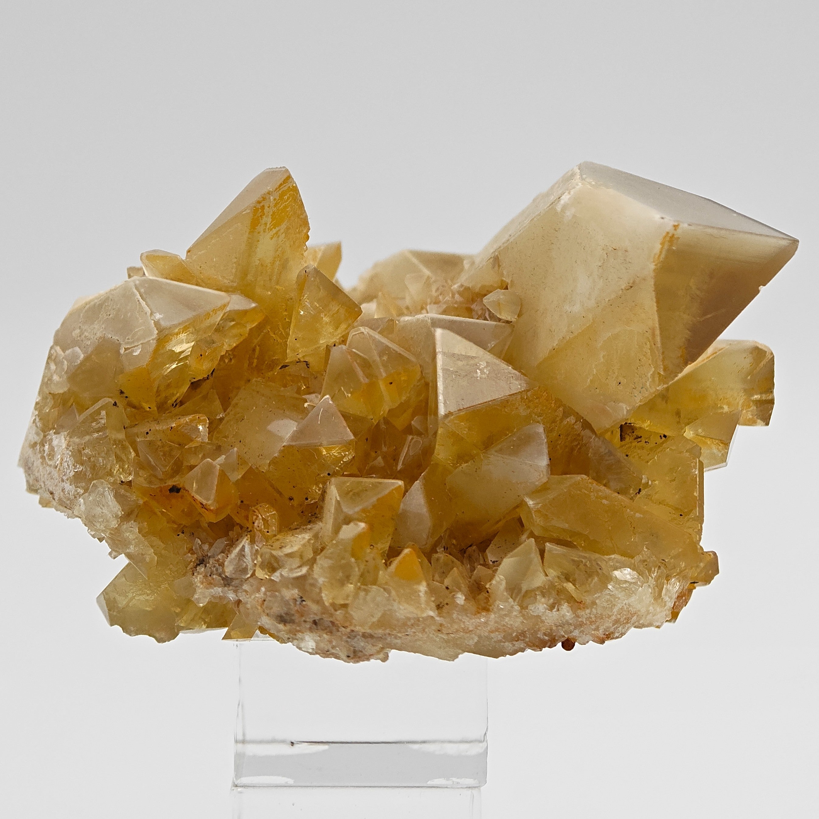 BARYTE – Honey-Colored Transparent Crystals with Phantoms from Rio Bacchera, Sardinia, Italy