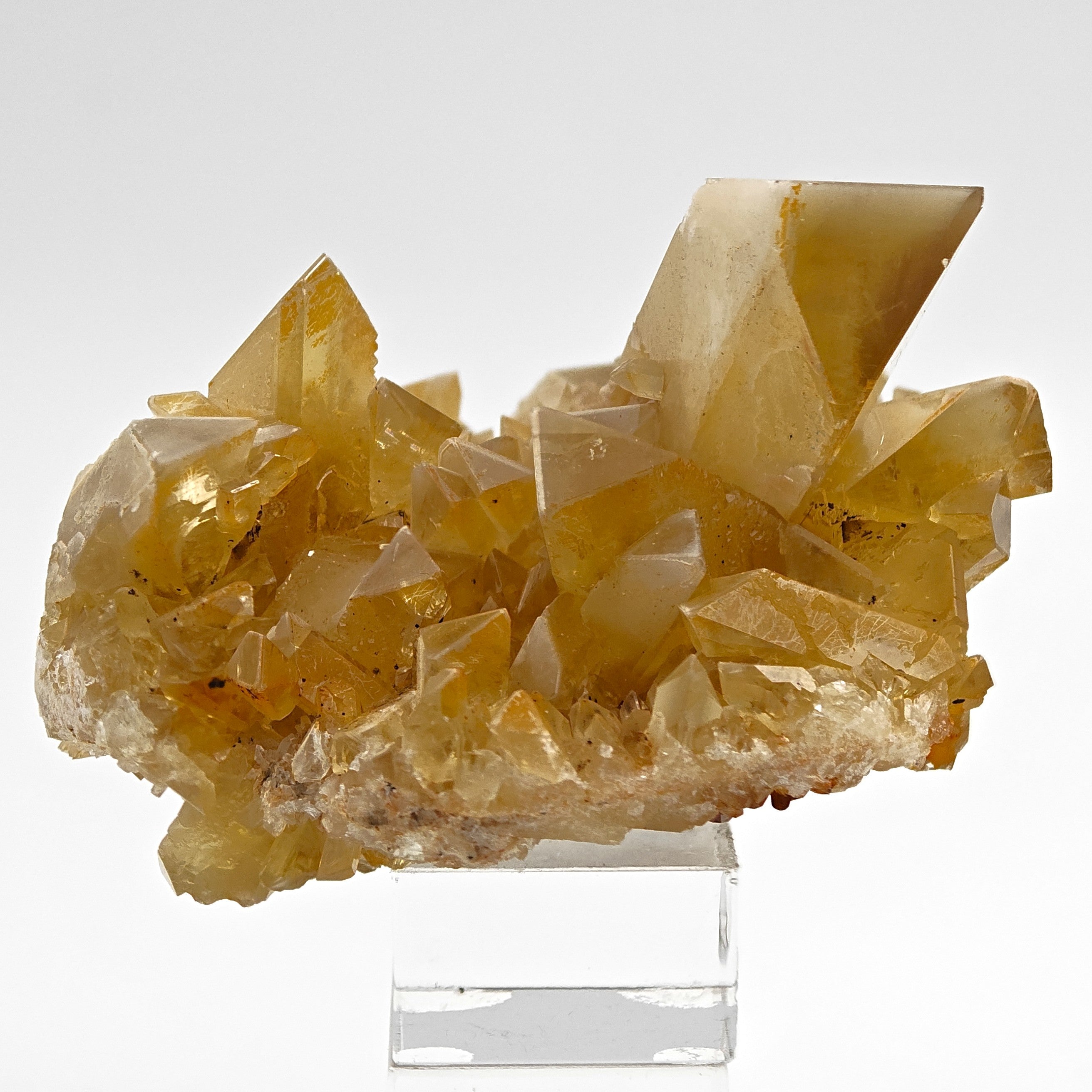 BARYTE – Honey-Colored Transparent Crystals with Phantoms from Rio Bacchera, Sardinia, Italy