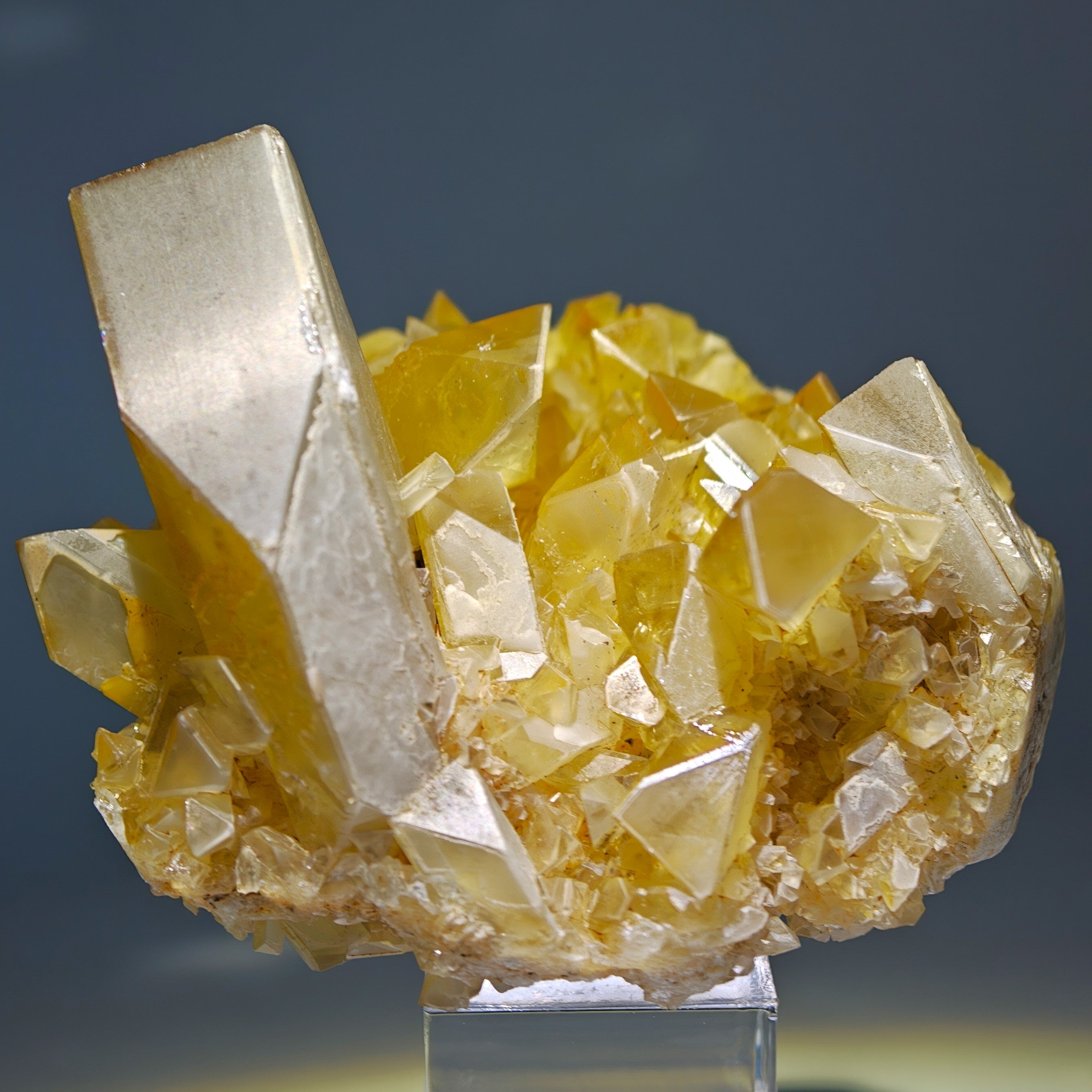 BARYTE – Honey-Colored Transparent Crystals with Phantoms from Rio Bacchera, Sardinia, Italy