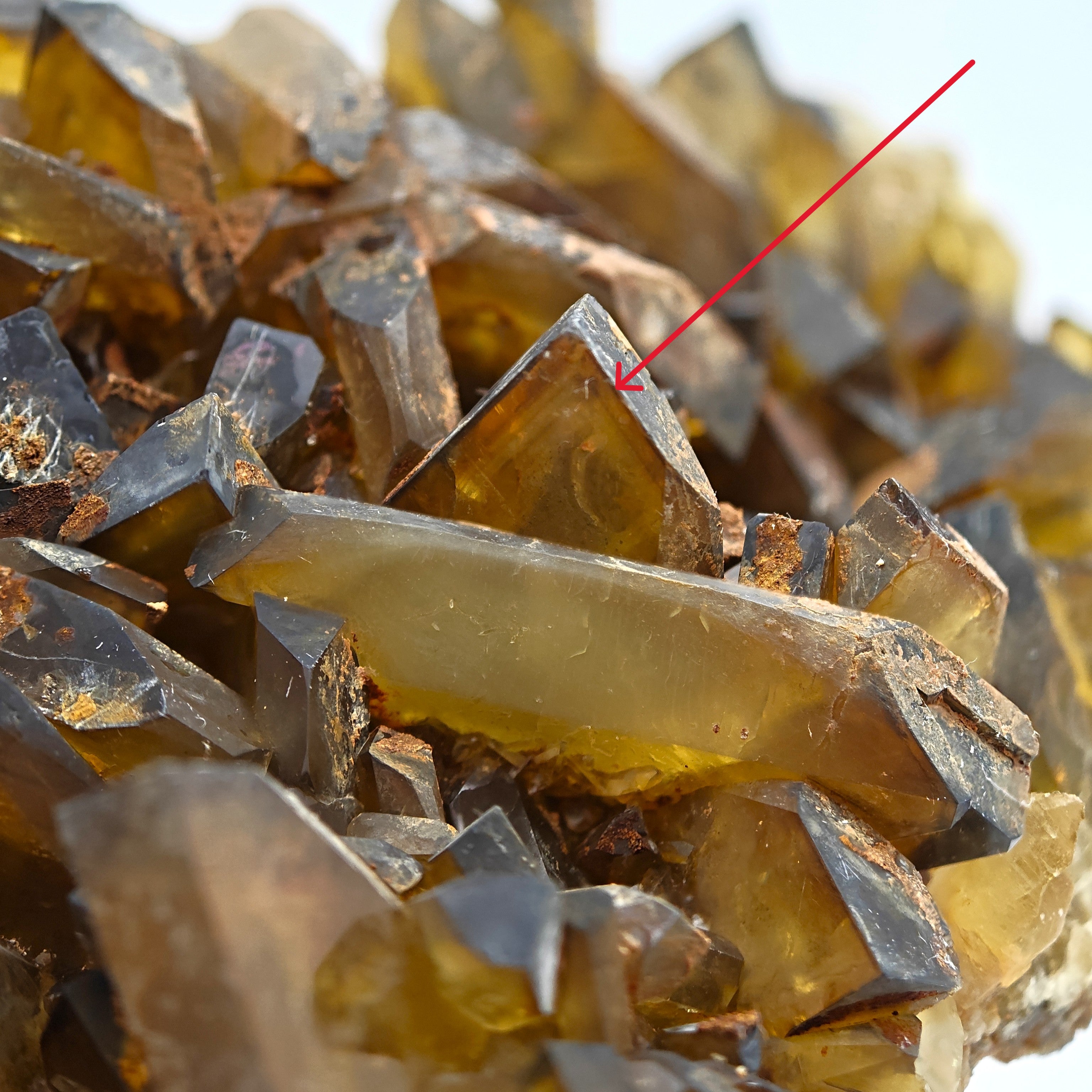 BARYTE – Phantom Crystal, Golden Tones, Villamassargia, Sardinia, Italy