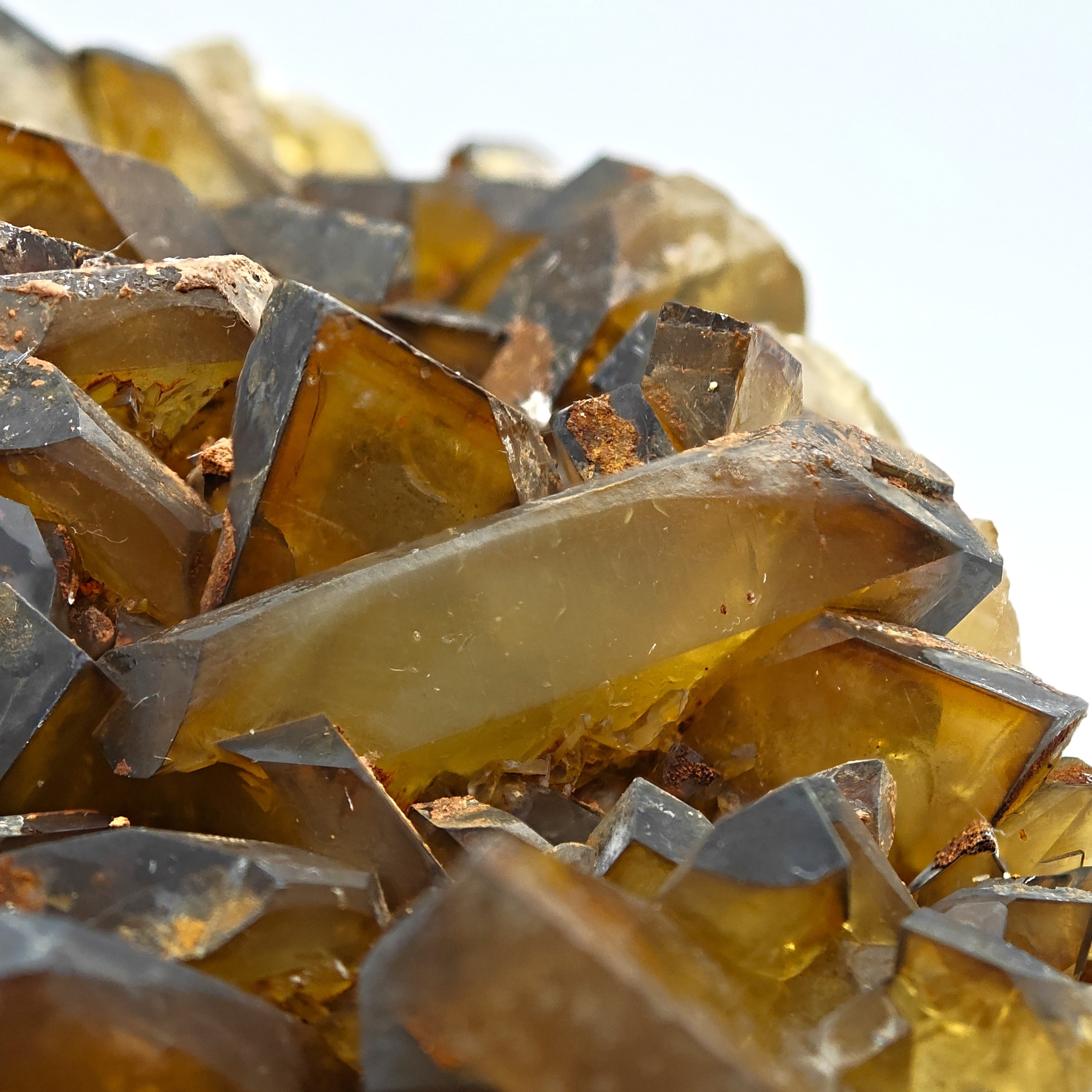 BARYTE – Phantom Crystal, Golden Tones, Villamassargia, Sardinia, Italy