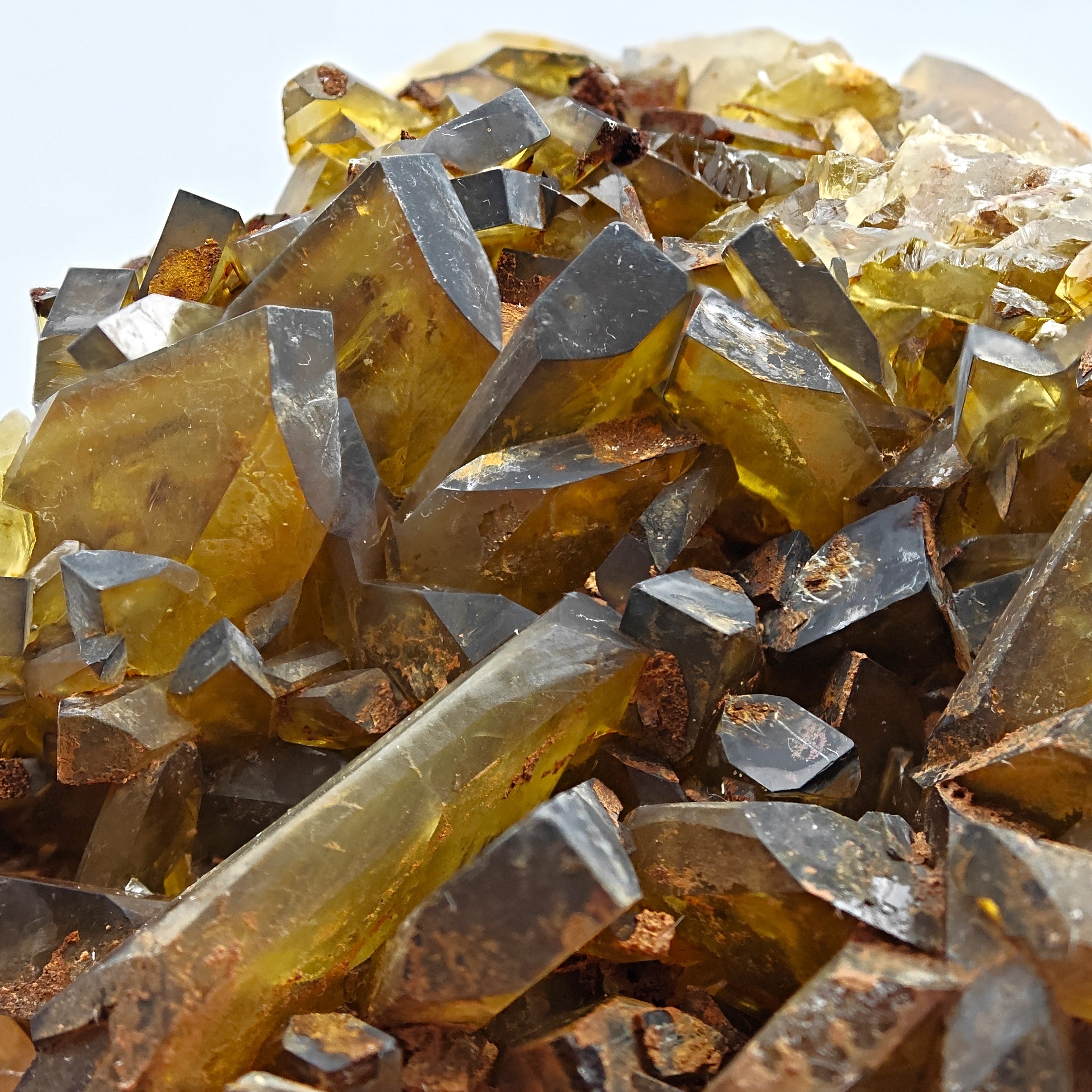 BARYTE – Phantom Crystal, Golden Tones, Villamassargia, Sardinia, Italy