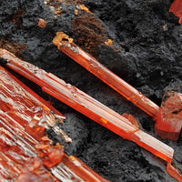 CROCOITE – Vivid Red Intertwined Crystals on Goethite, Tasmania, Australia