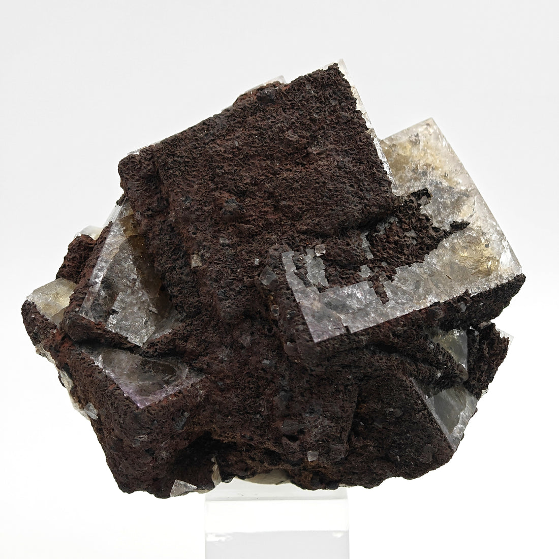 FLUORITE – Large Crossed Yellow & Violet Crystals, Greenlaws Mine, Weardale, UK