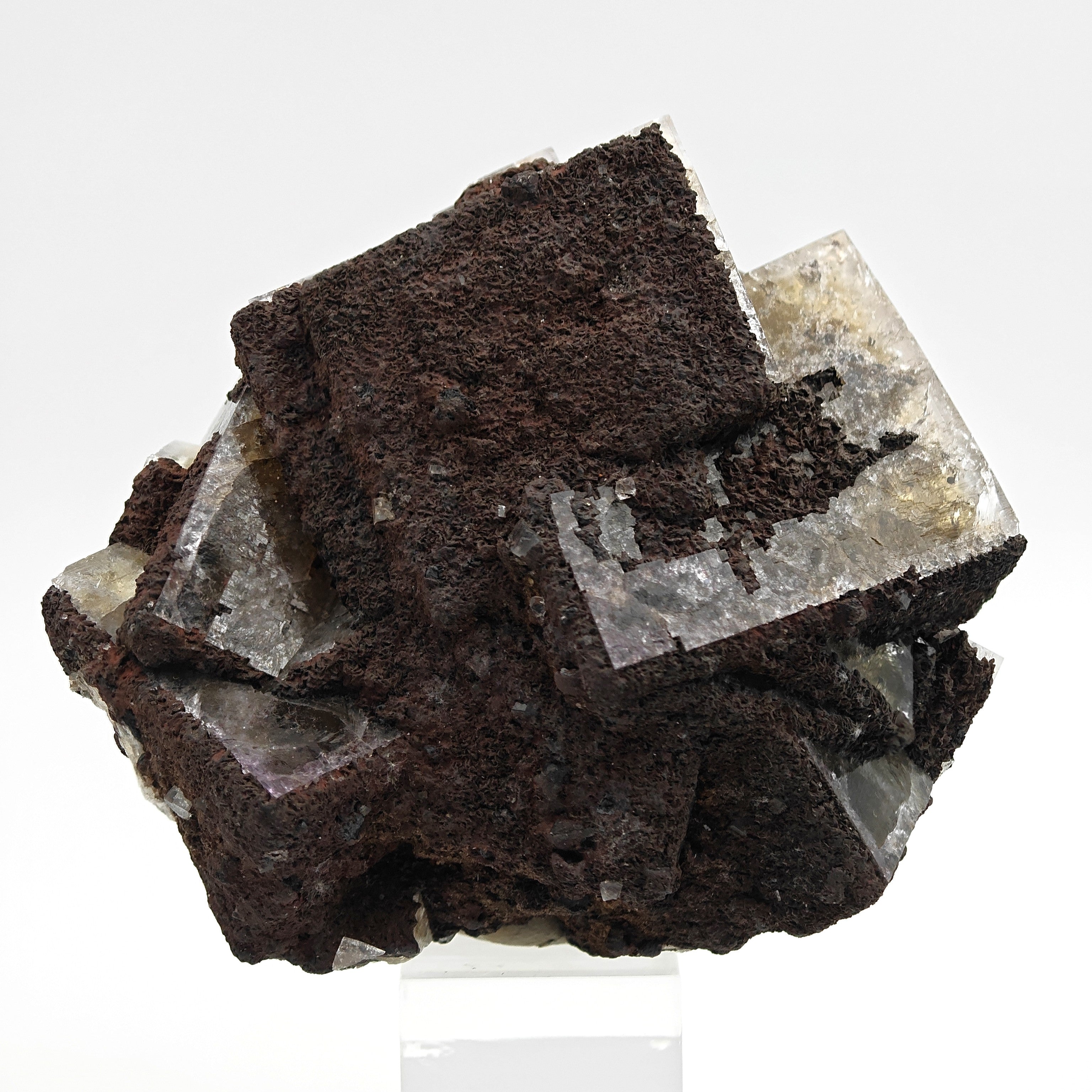 FLUORITE – Large Crossed Yellow & Violet Crystals, Greenlaws Mine, Weardale, UK