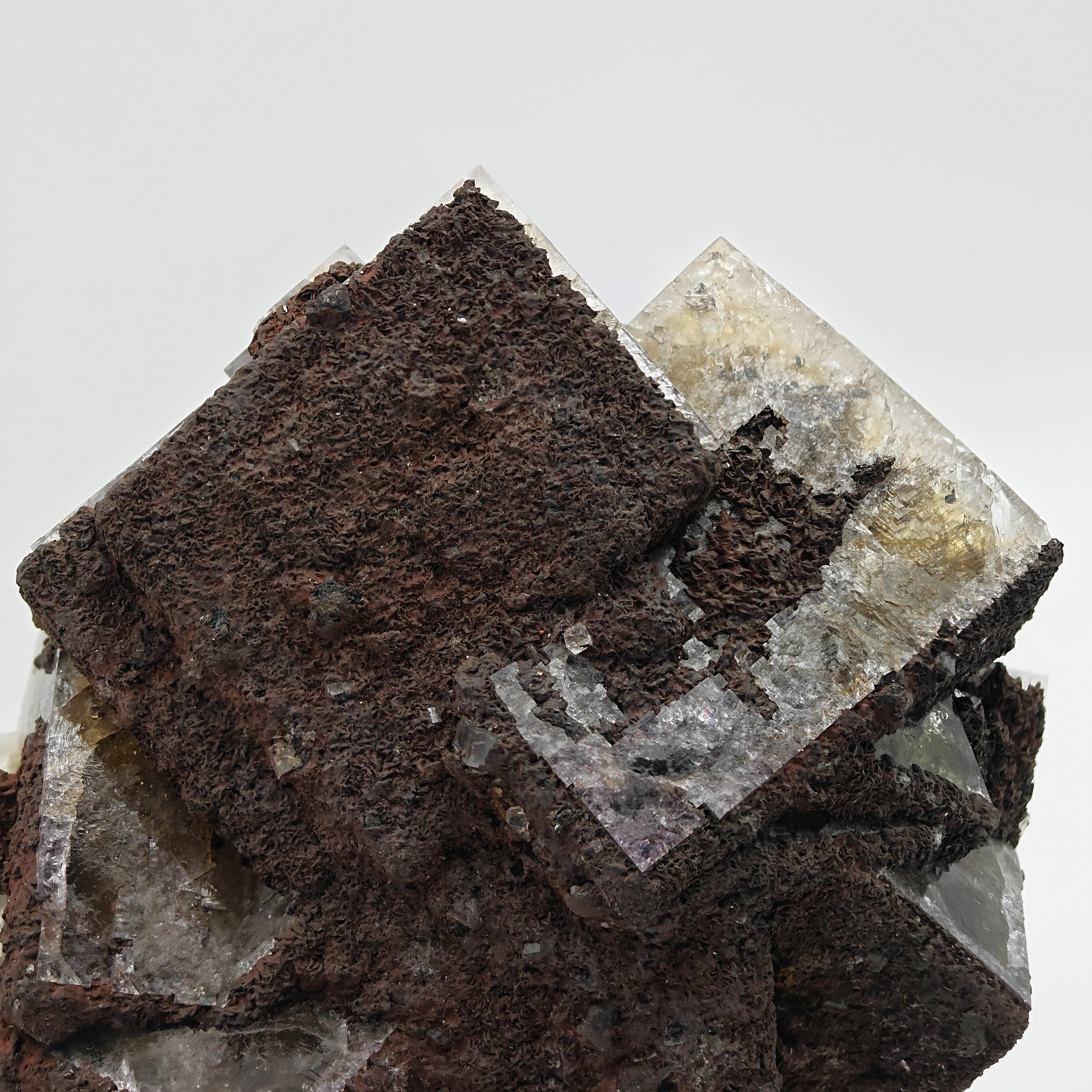 FLUORITE – Large Crossed Yellow & Violet Crystals, Greenlaws Mine, Weardale, UK