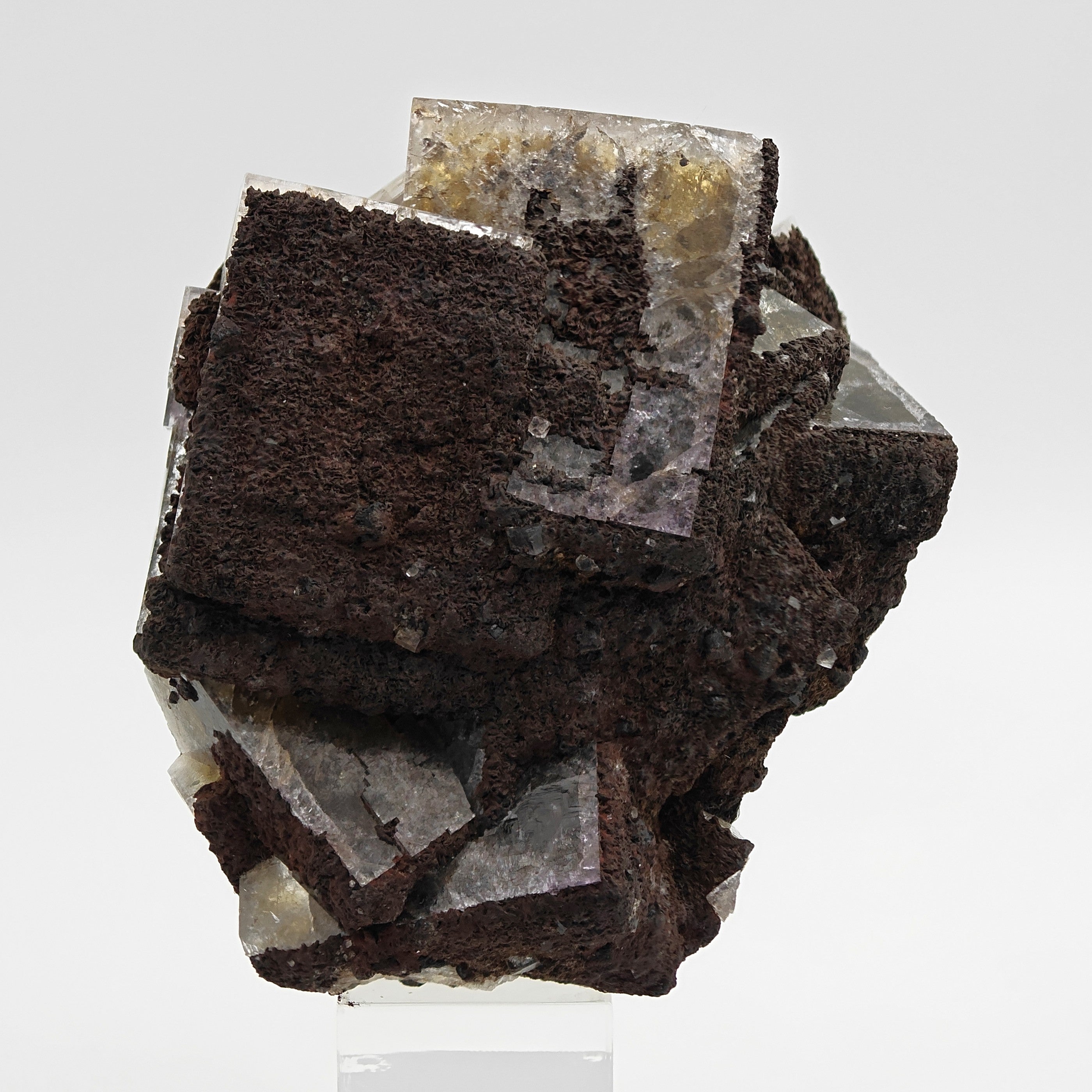 FLUORITE – Large Crossed Yellow & Violet Crystals, Greenlaws Mine, Weardale, UK