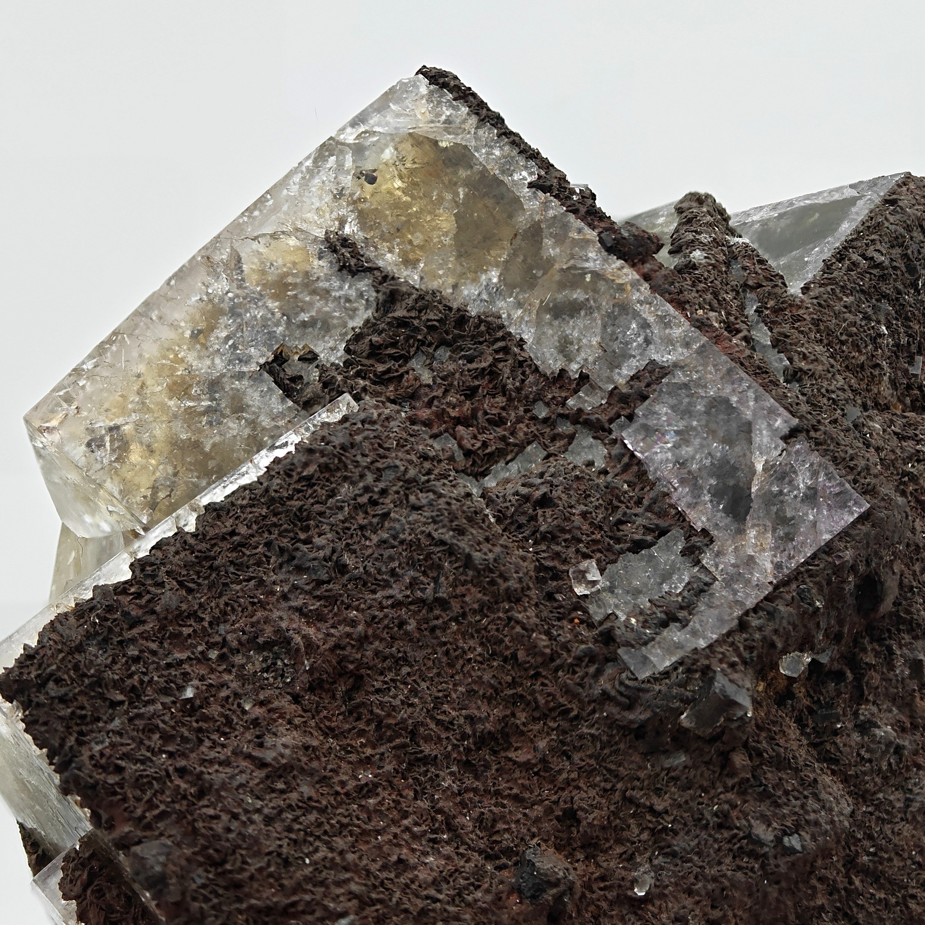 FLUORITE – Large Crossed Yellow & Violet Crystals, Greenlaws Mine, Weardale, UK