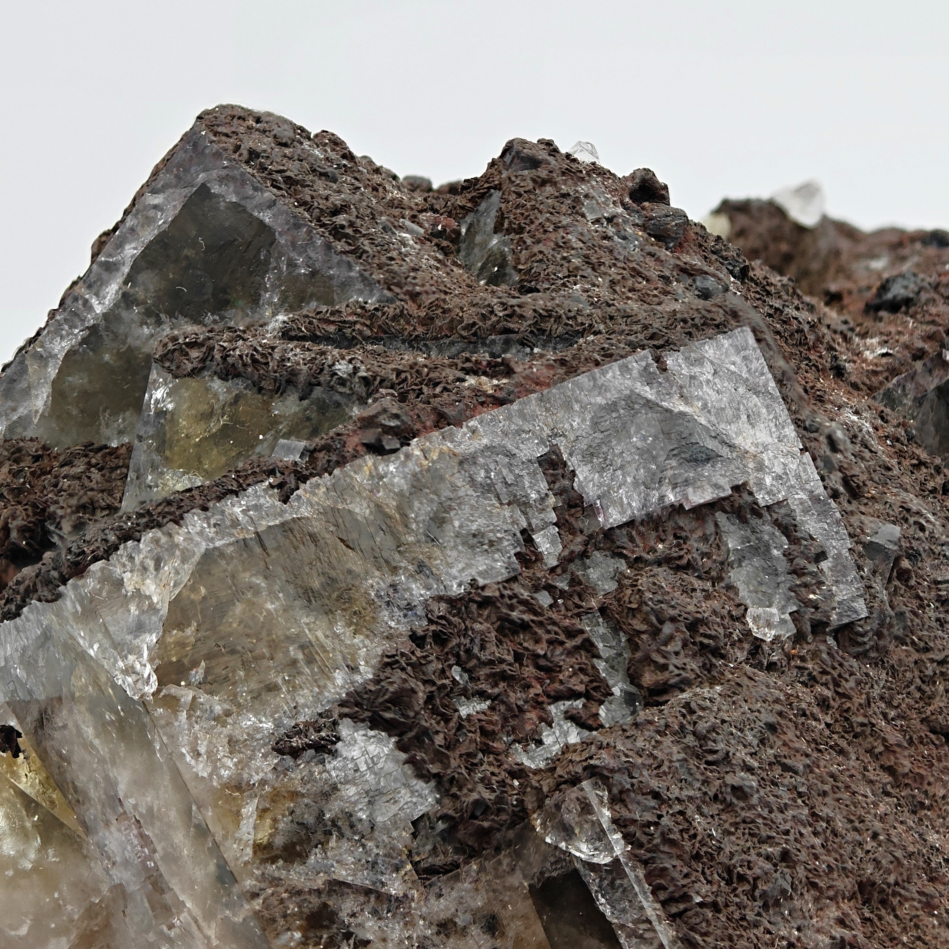 FLUORITE – Large Crossed Yellow & Violet Crystals, Greenlaws Mine, Weardale, UK