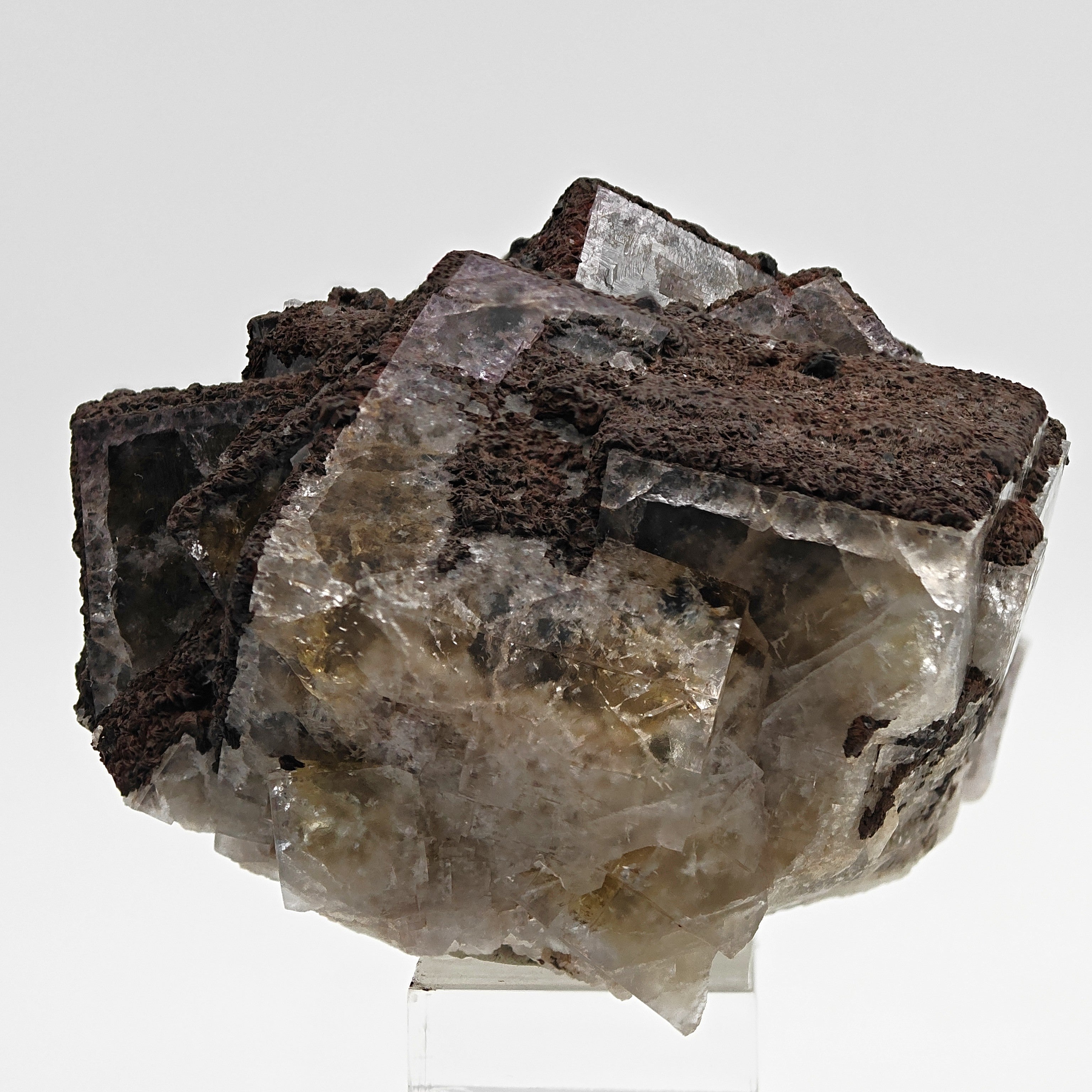 FLUORITE – Large Crossed Yellow & Violet Crystals, Greenlaws Mine, Weardale, UK