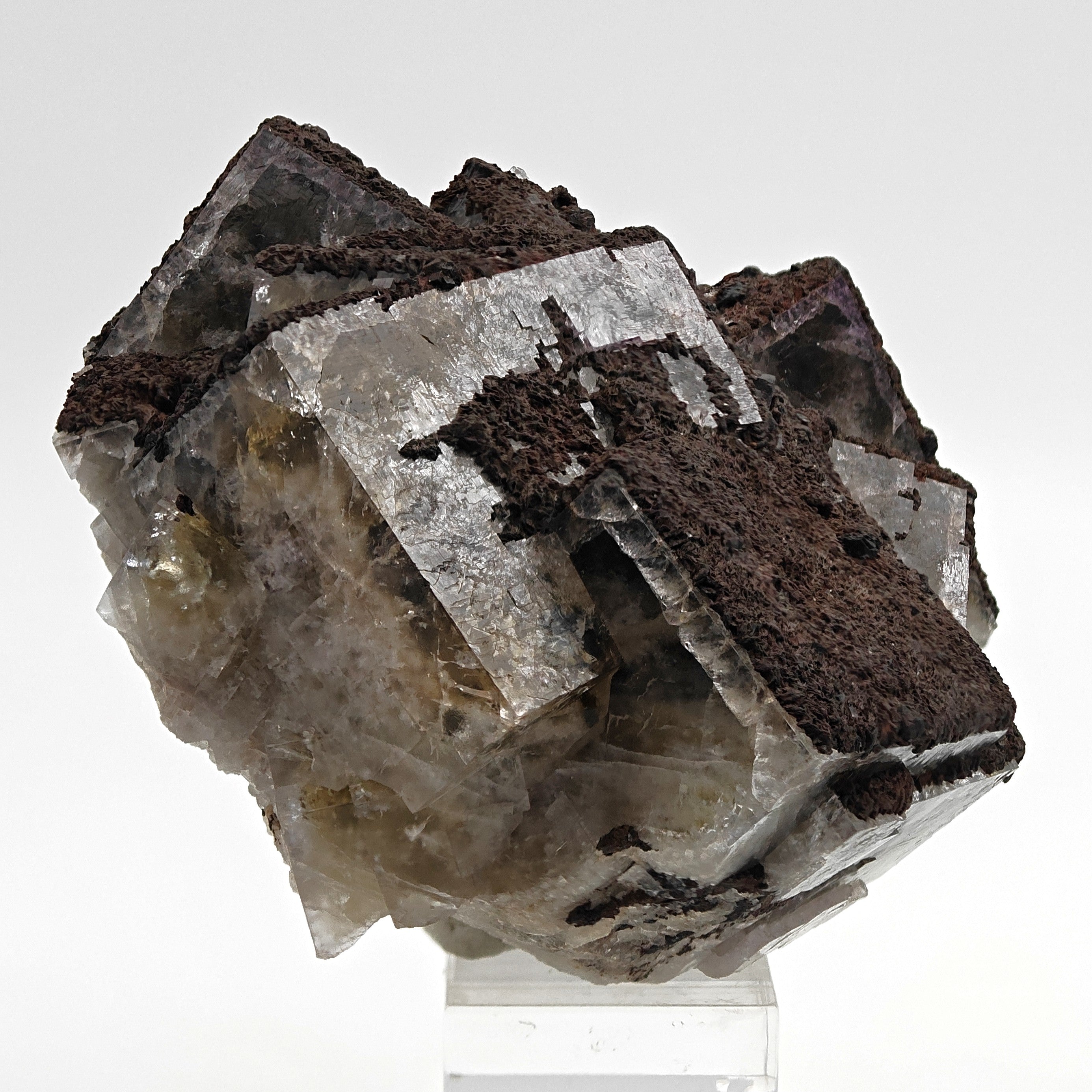 FLUORITE – Large Crossed Yellow & Violet Crystals, Greenlaws Mine, Weardale, UK