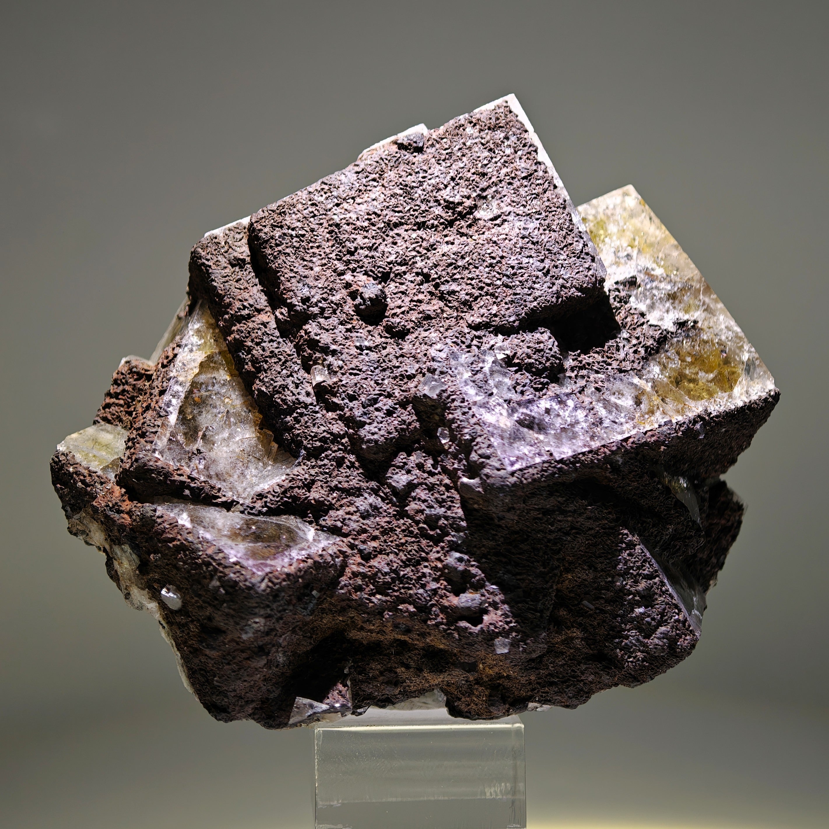 FLUORITE – Large Crossed Yellow & Violet Crystals, Greenlaws Mine, Weardale, UK