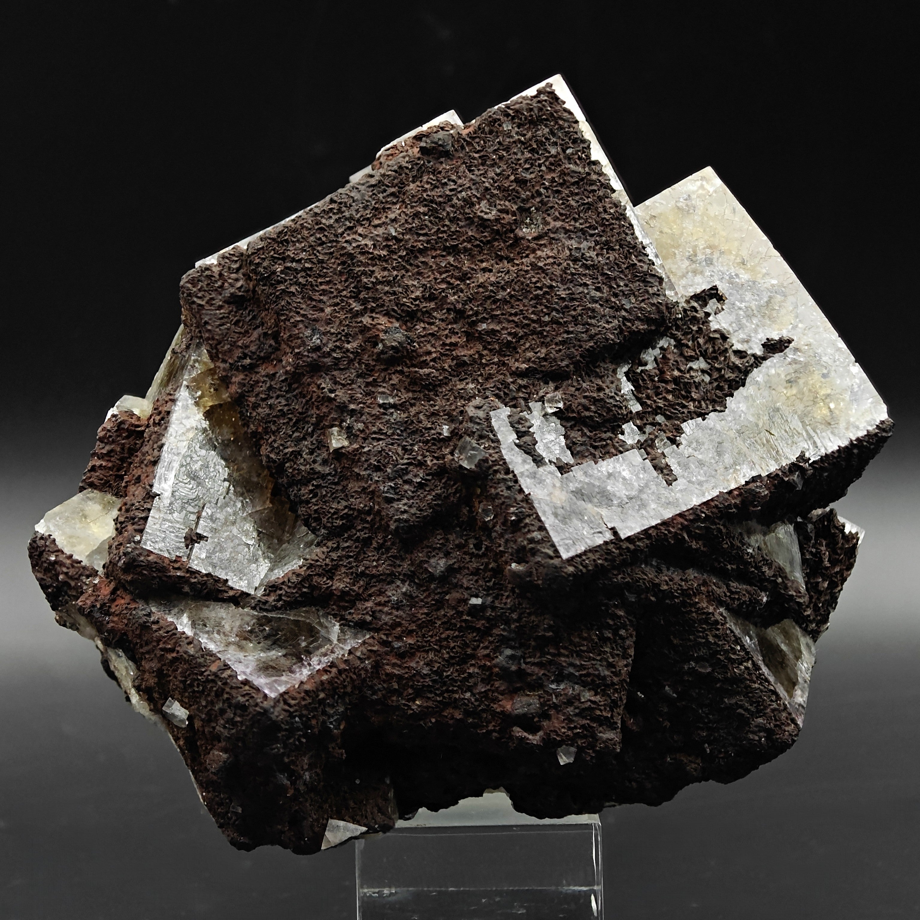 FLUORITE – Large Crossed Yellow & Violet Crystals, Greenlaws Mine, Weardale, UK