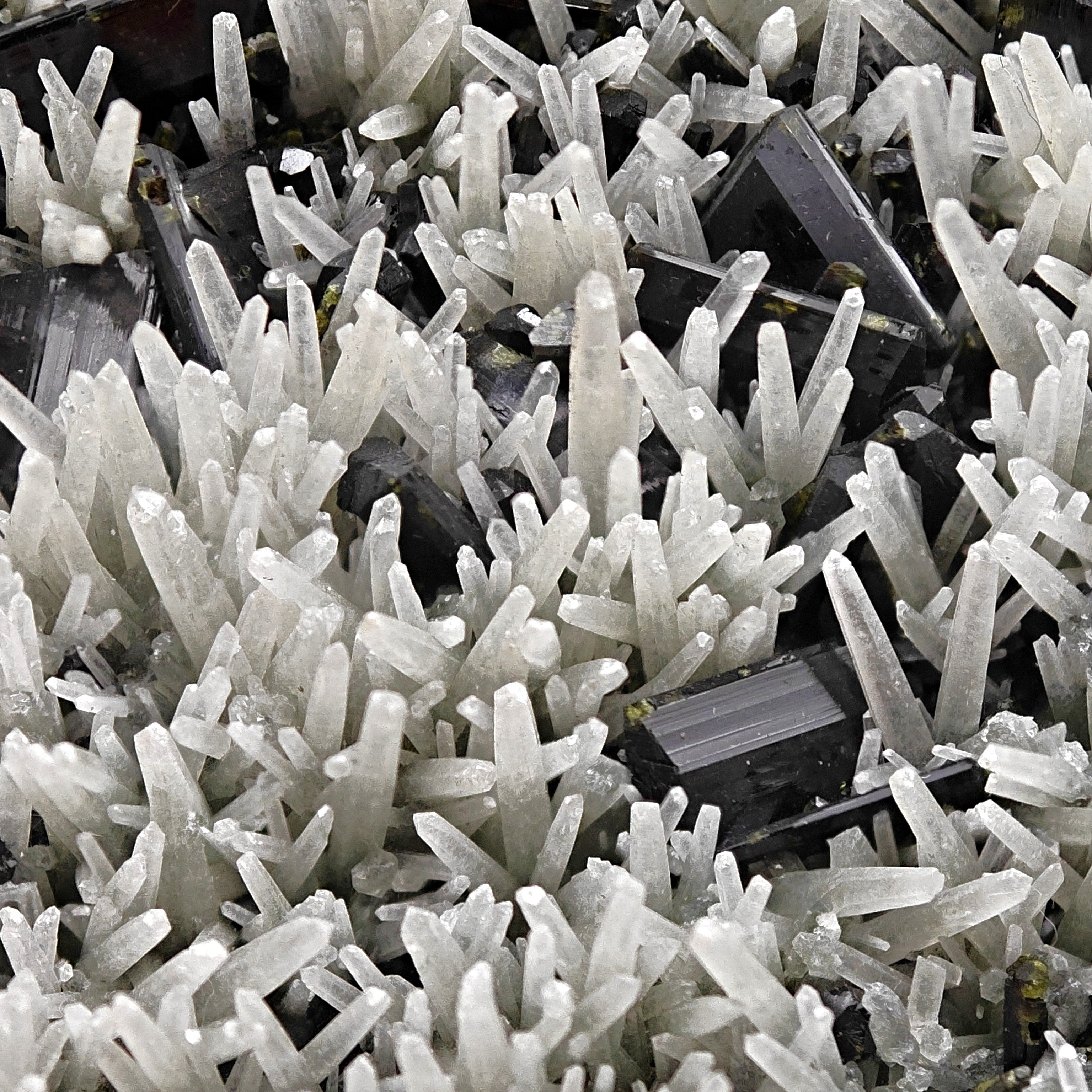 EPIDOTE & PRASE QUARTZ – Shiny Green Crystals from Khowrin Mountain, Iran
